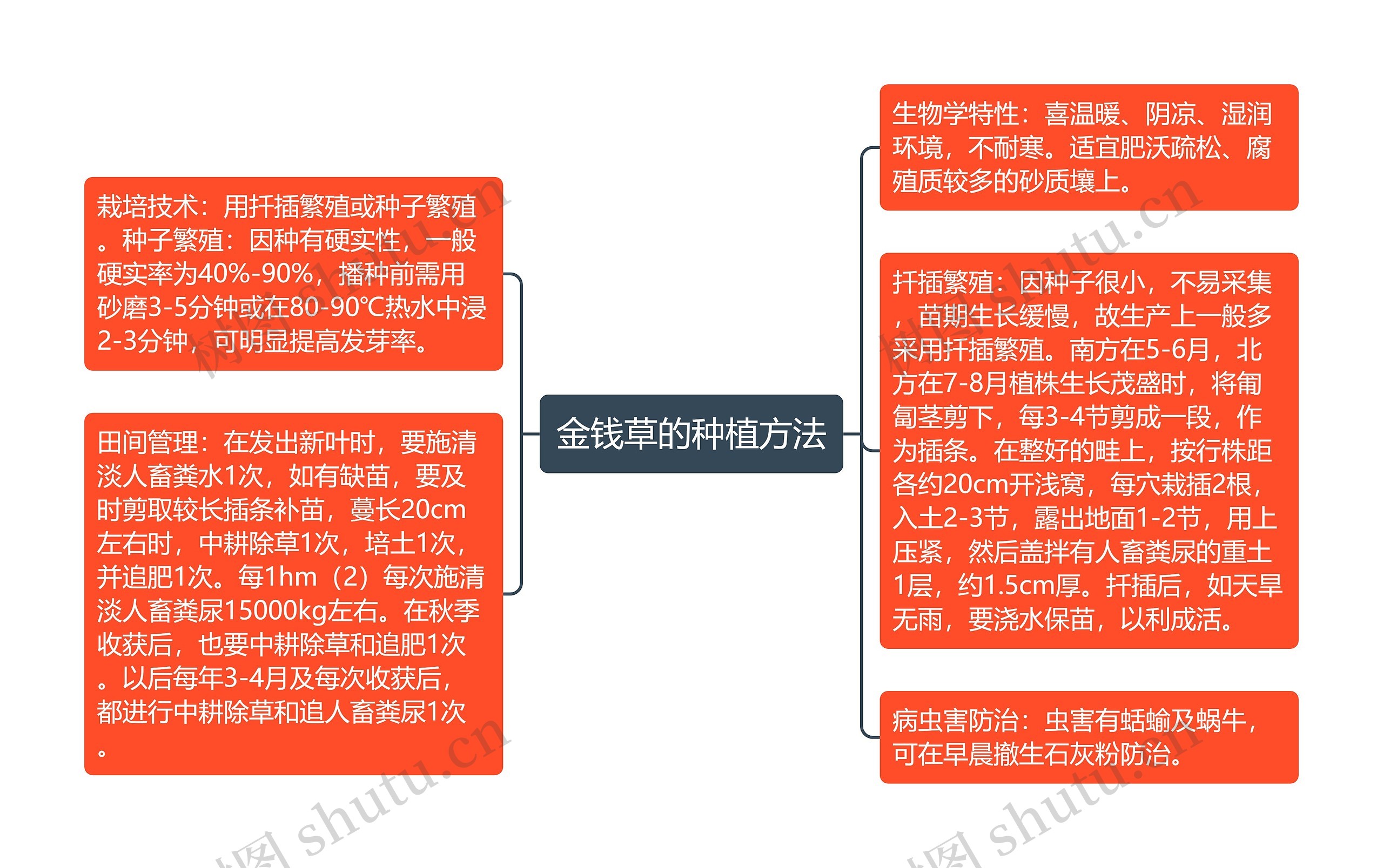 金钱草的种植方法思维导图