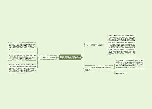 共同责任分类有哪些