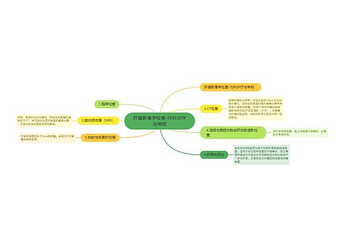 肝癌影像学检查-内科诊疗与常规