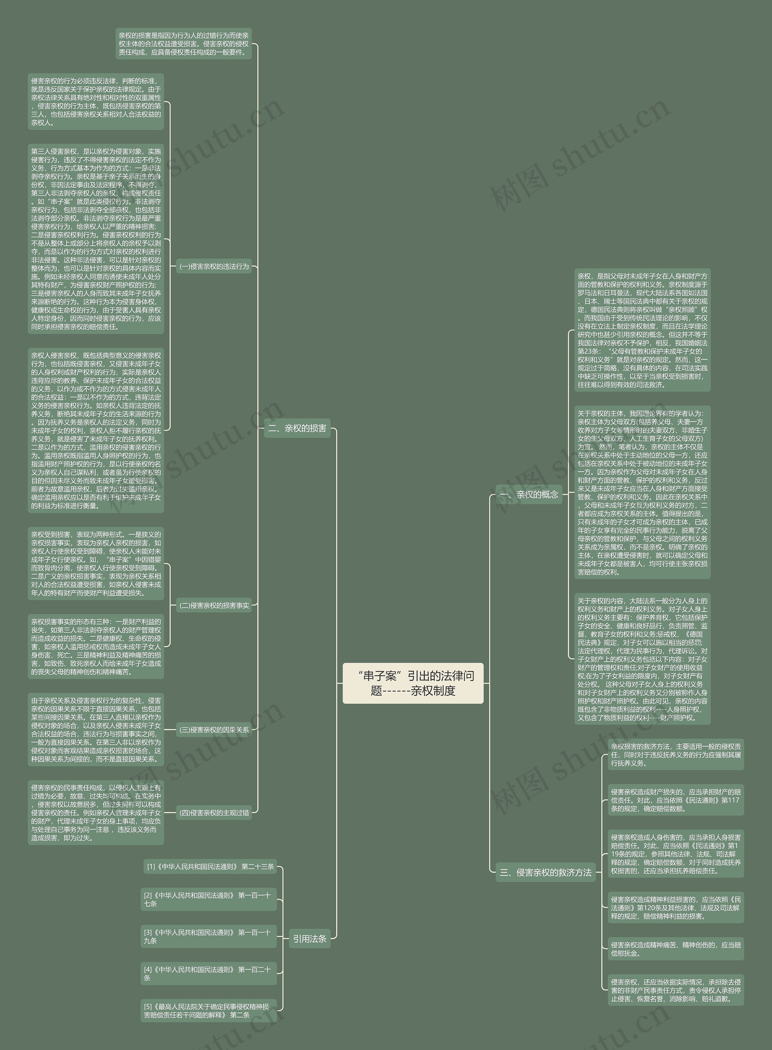 “串子案”引出的法律问题------亲权制度思维导图