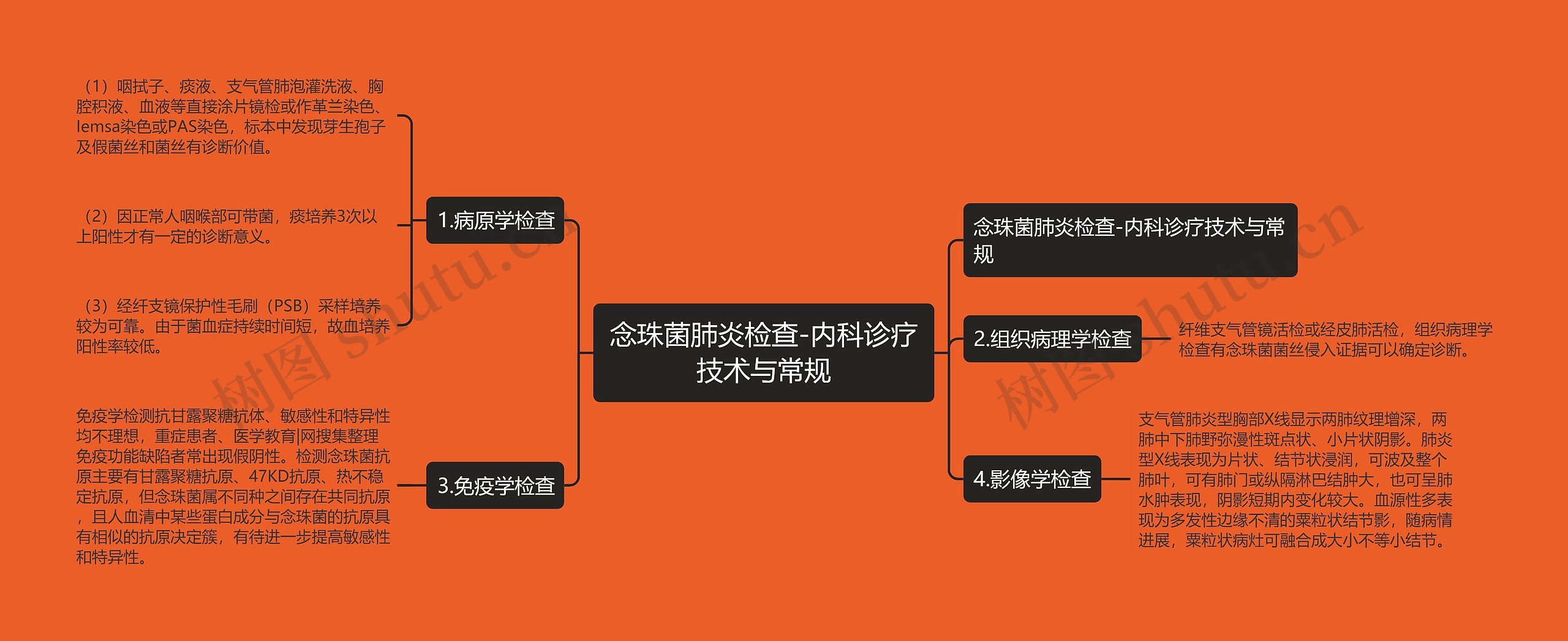 念珠菌肺炎检查-内科诊疗技术与常规 念珠菌肺炎检查-内科诊疗技术与常规
