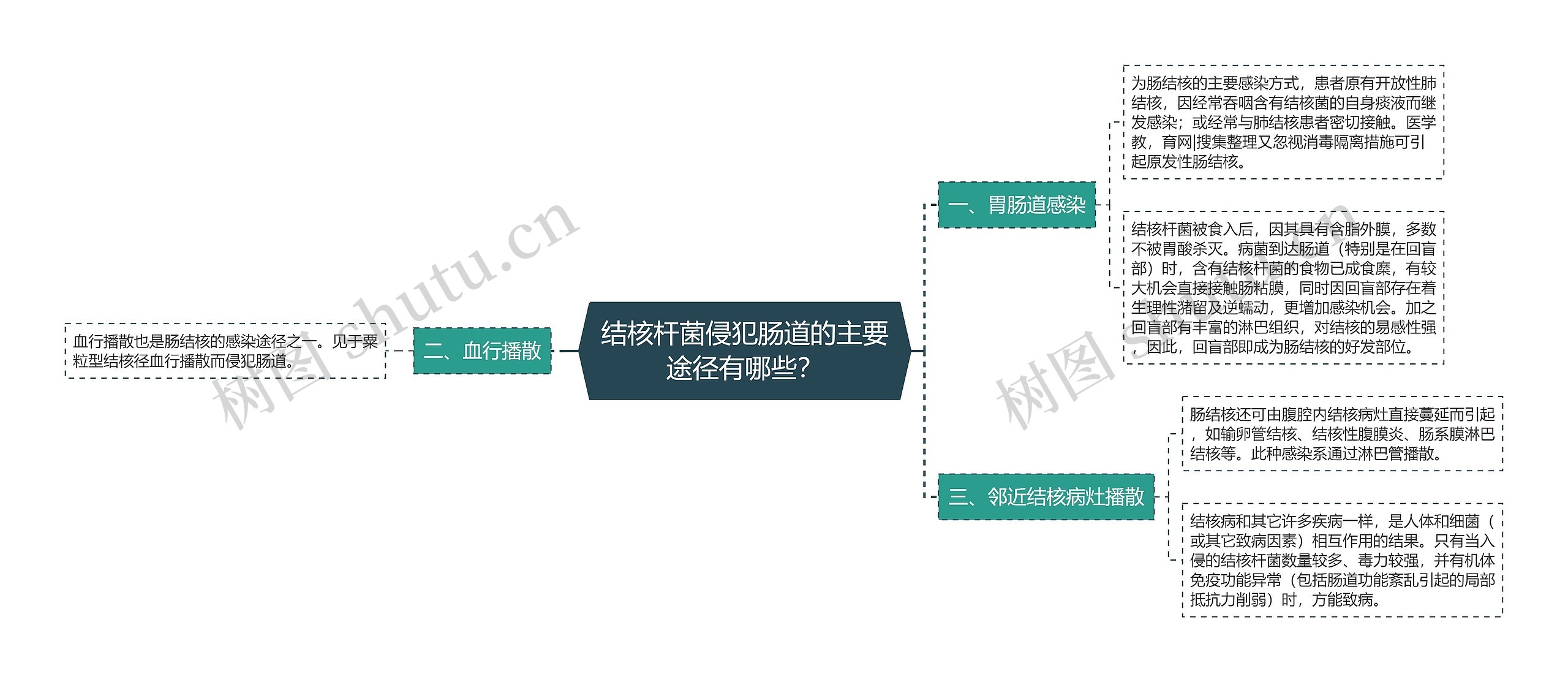 结核杆菌侵犯肠道的主要途径有哪些？思维导图