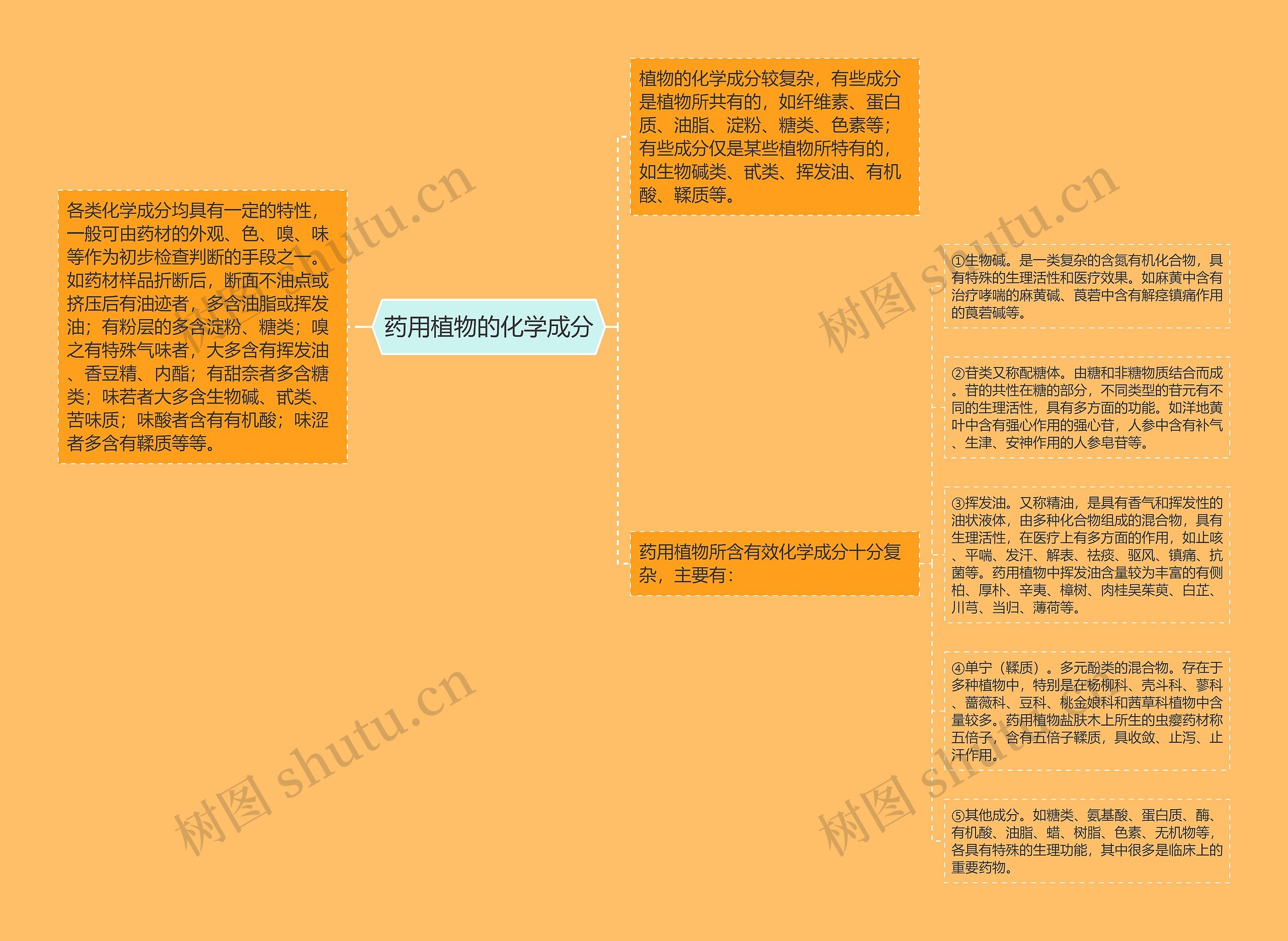 药用植物的化学成分思维导图
