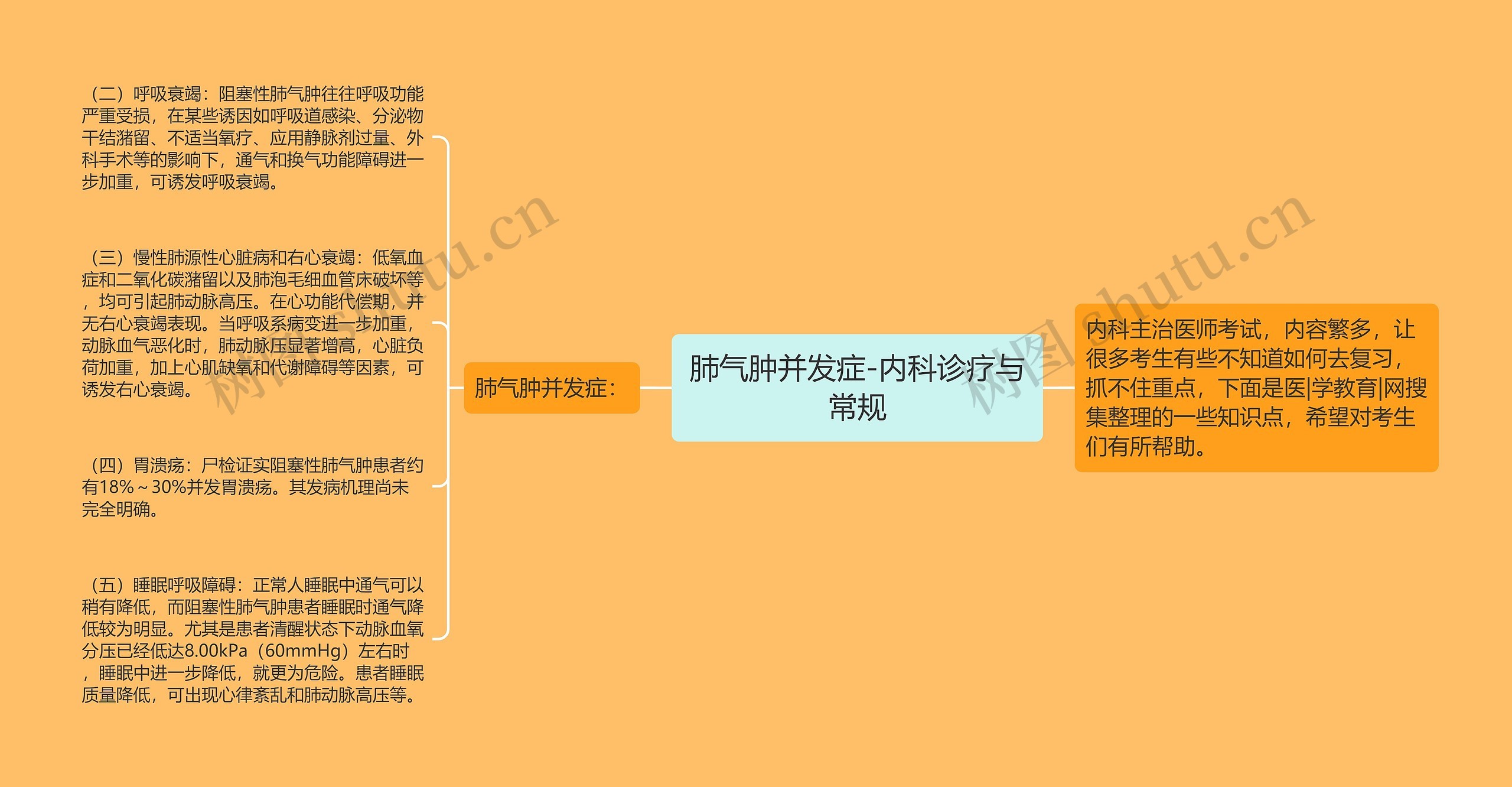 肺气肿并发症-内科诊疗与常规思维导图