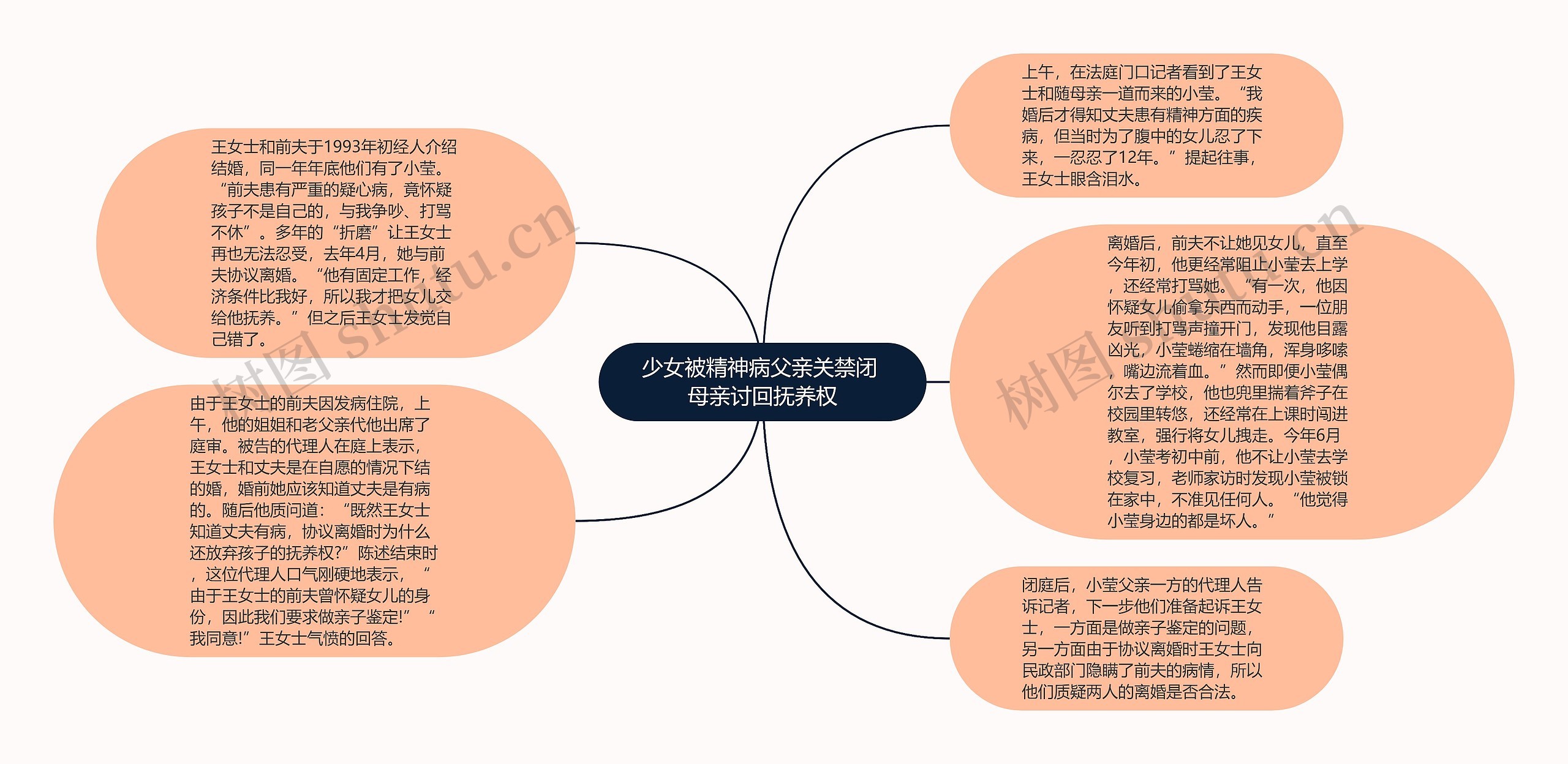 少女被精神病父亲关禁闭 母亲讨回抚养权思维导图