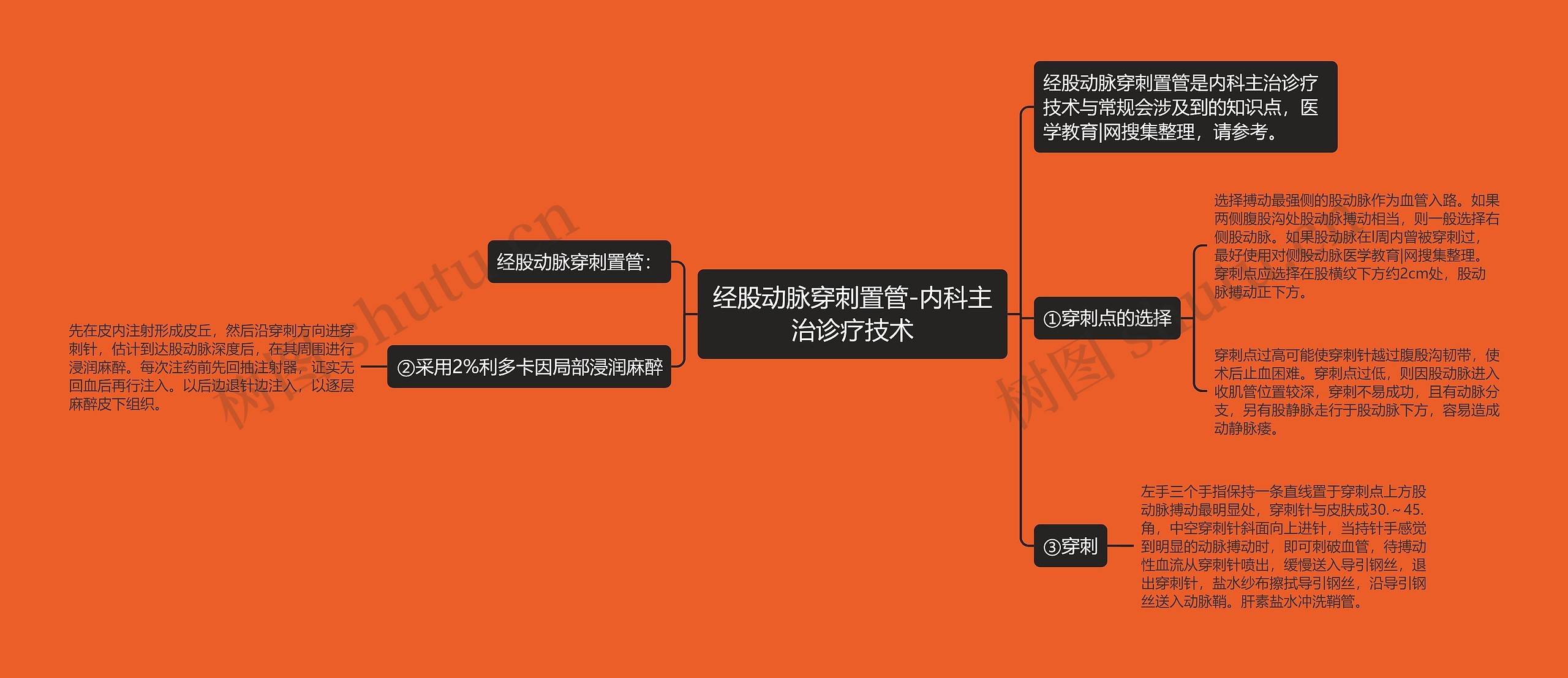 经股动脉穿刺置管-内科主治诊疗技术思维导图