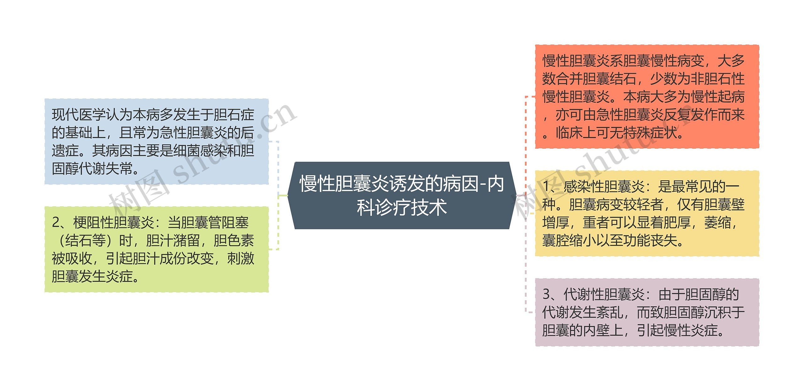 慢性胆囊炎诱发的病因-内科诊疗技术思维导图