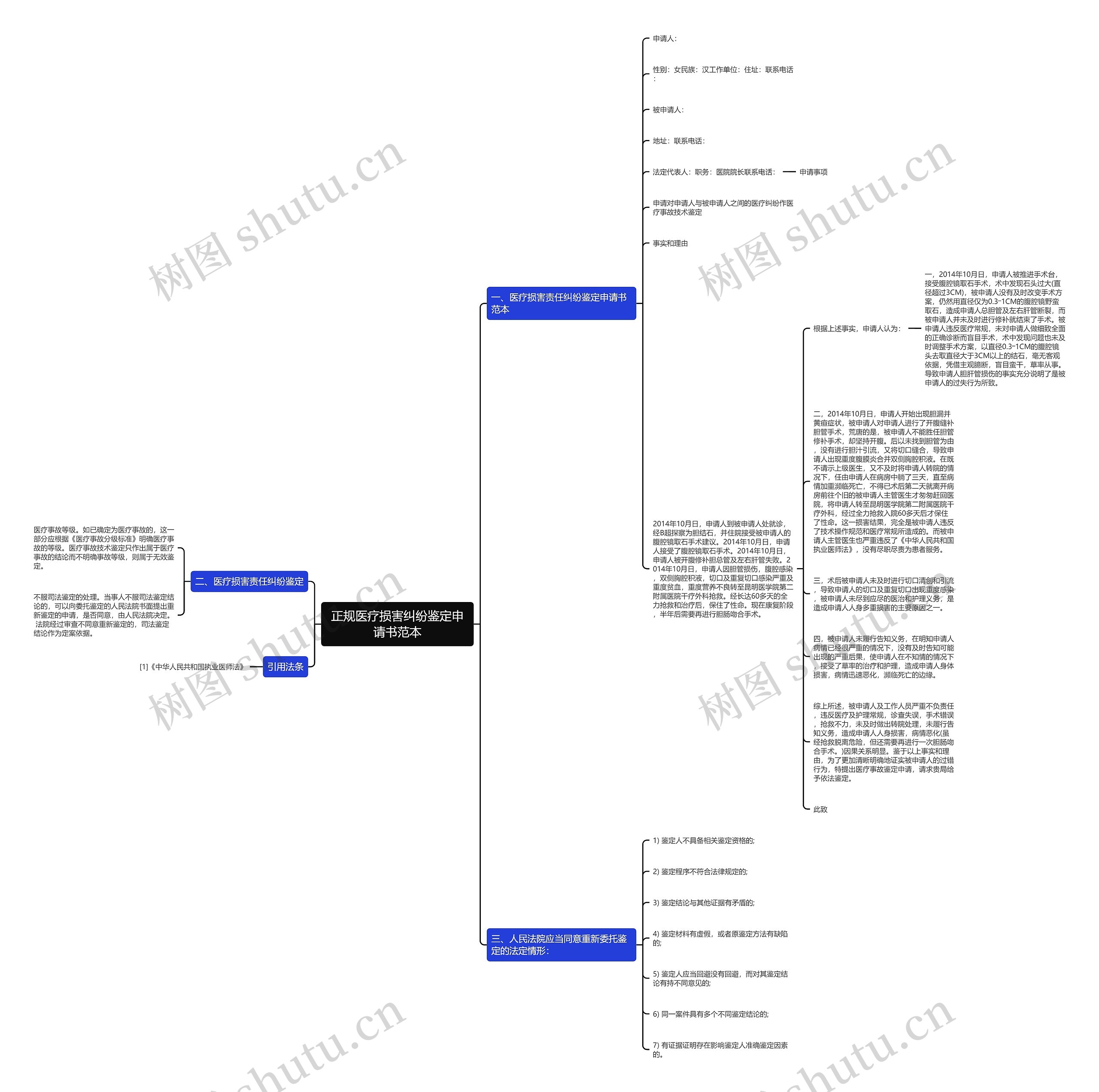 正规医疗损害纠纷鉴定申请书范本思维导图