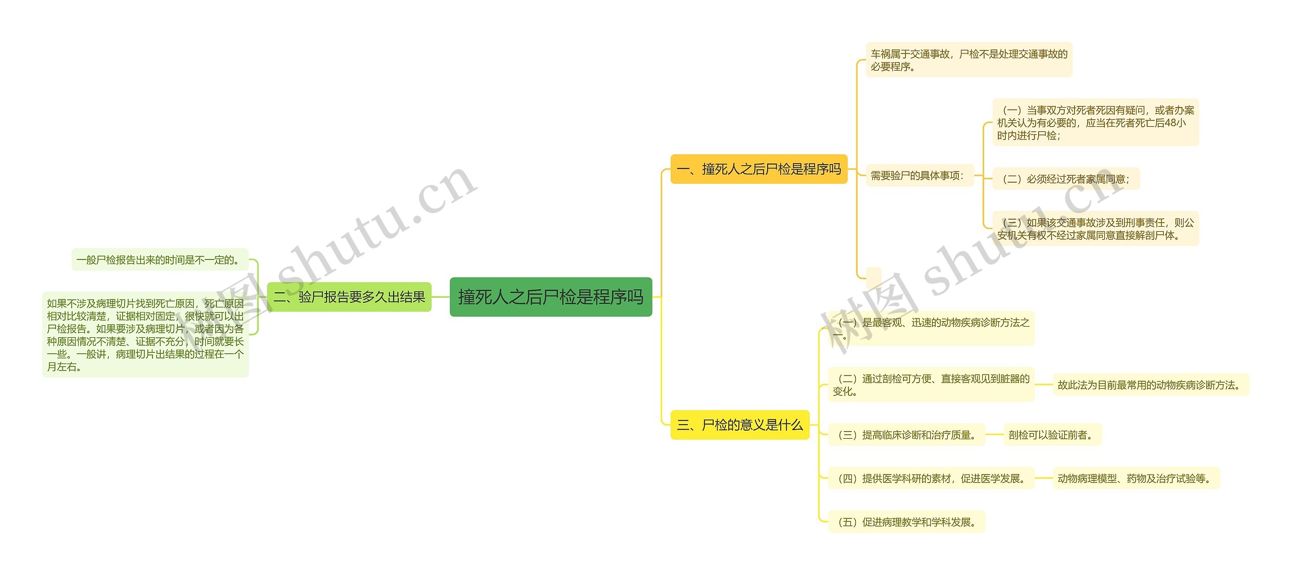 撞死人之后尸检是程序吗思维导图