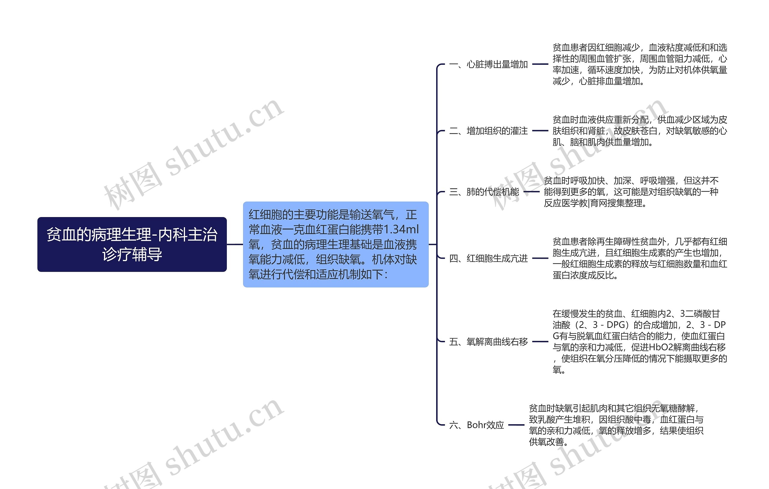 贫血的病理生理-内科主治诊疗辅导思维导图