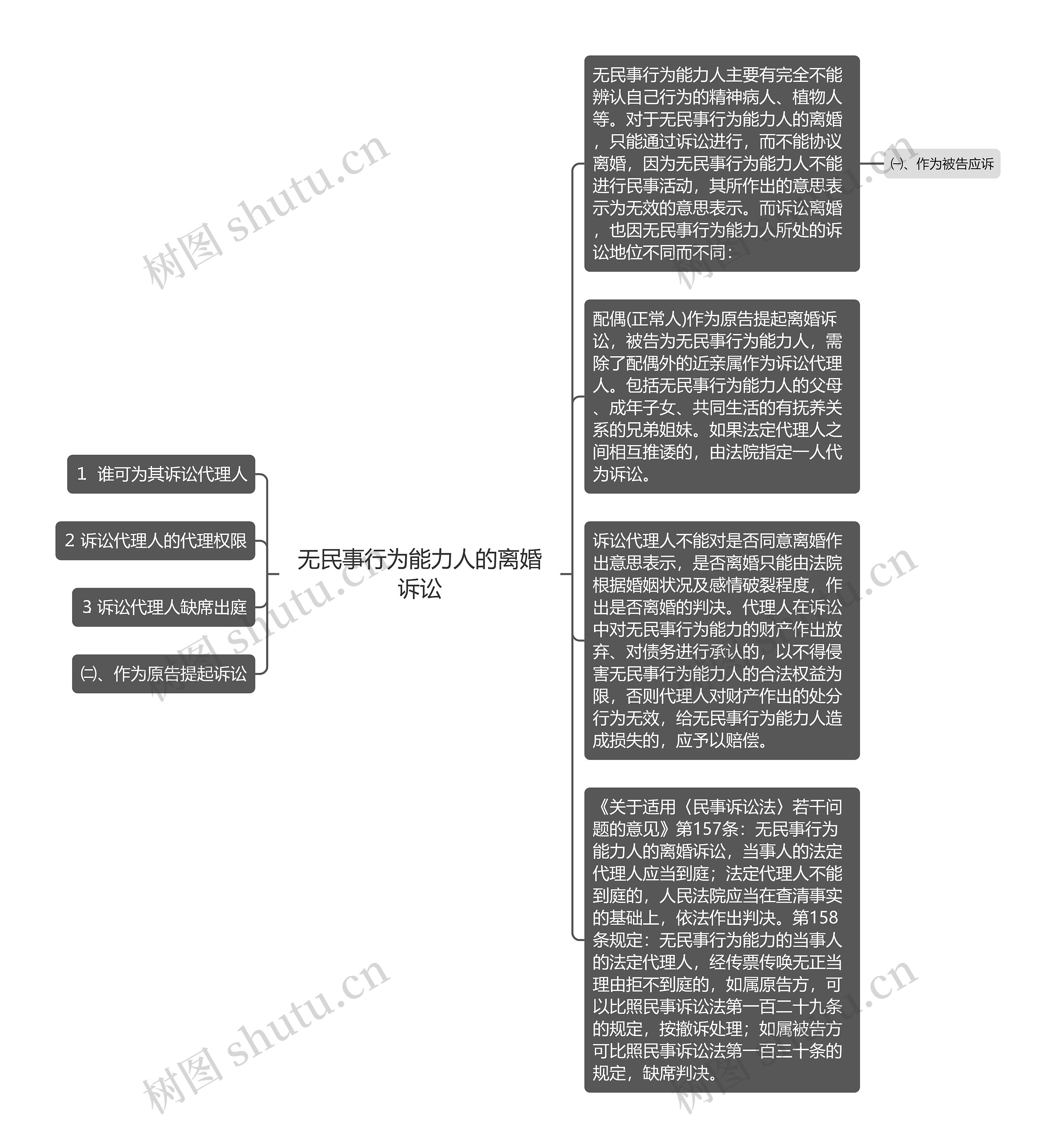 无民事行为能力人的离婚诉讼