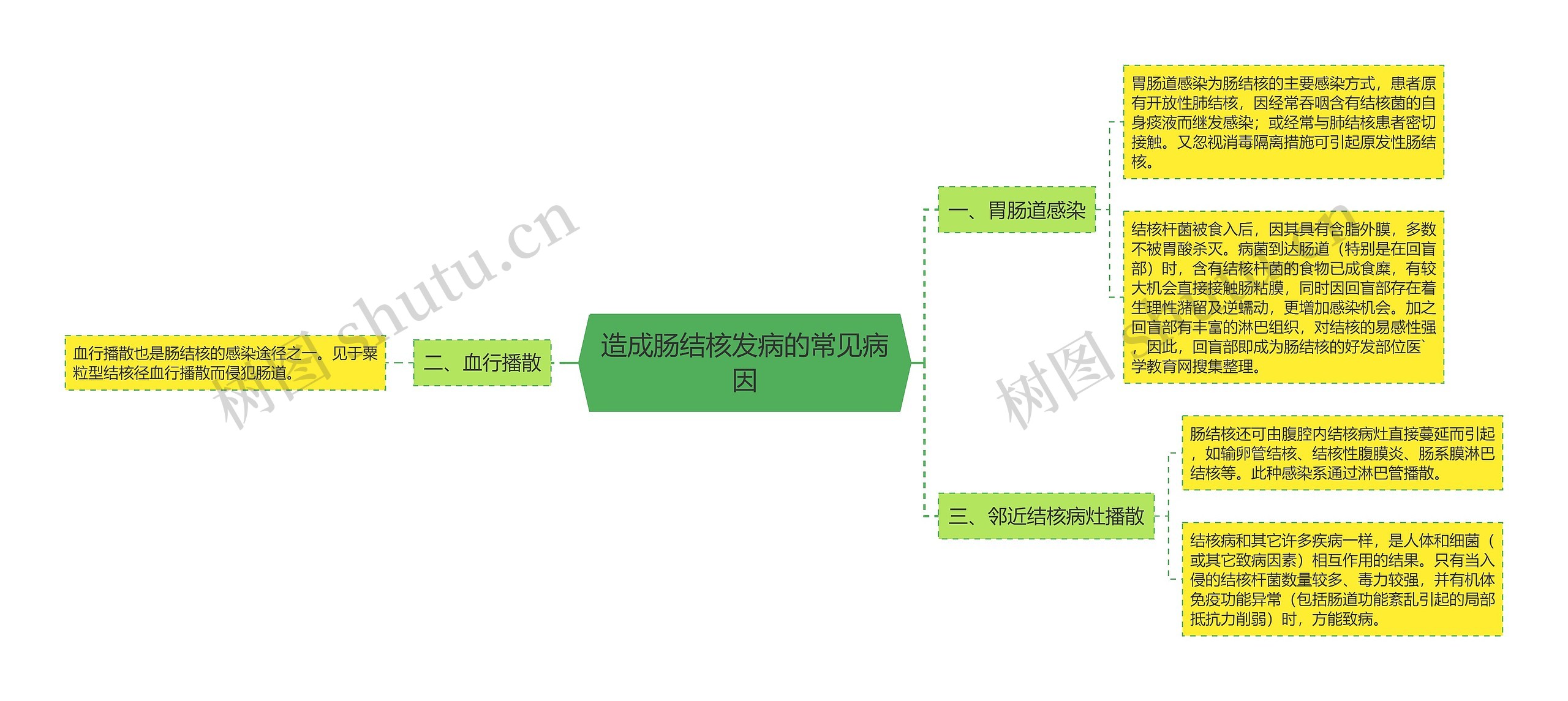 造成肠结核发病的常见病因思维导图