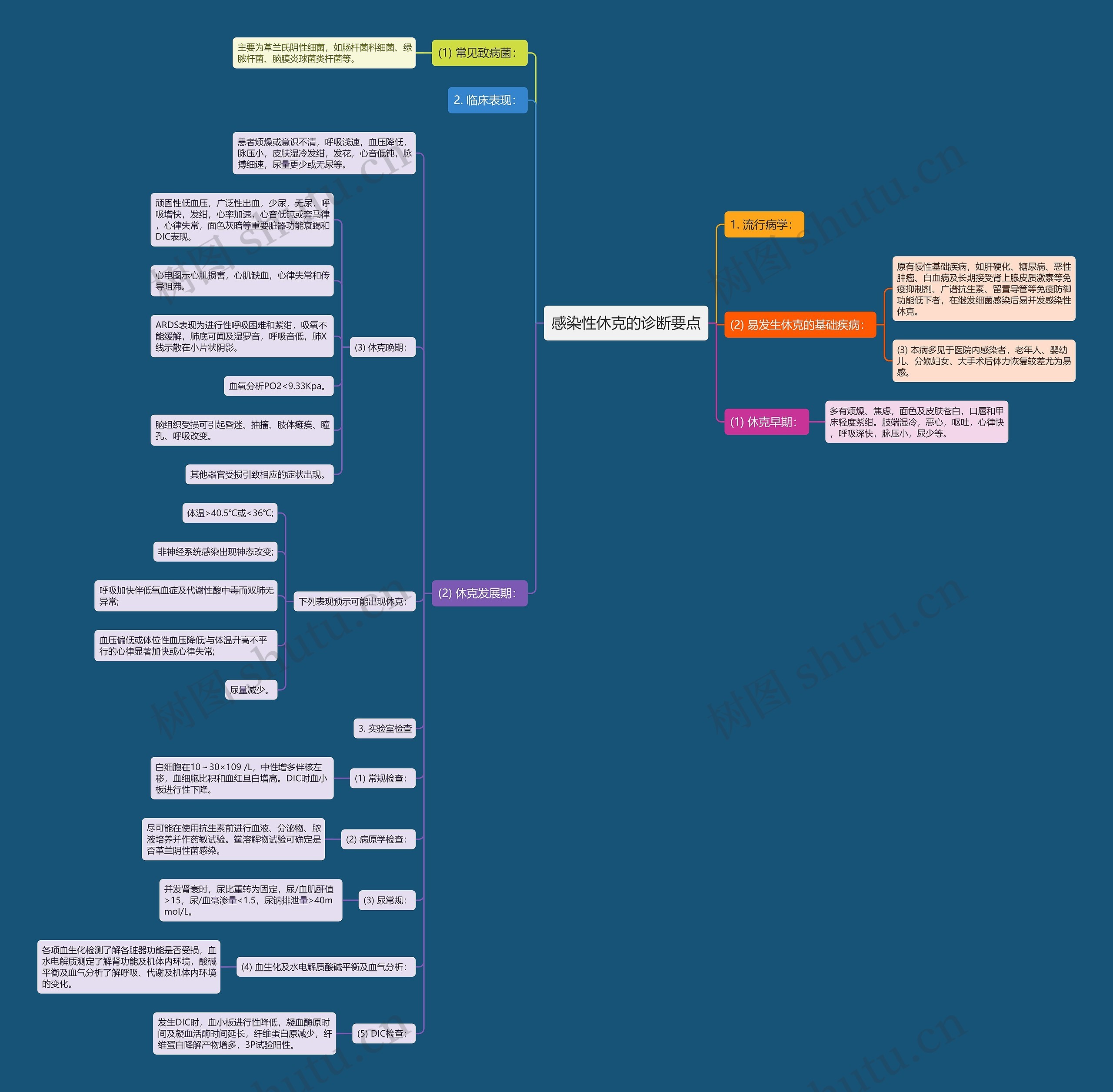感染性休克的诊断要点思维导图高清图 感染性休克的诊断要点思维导图