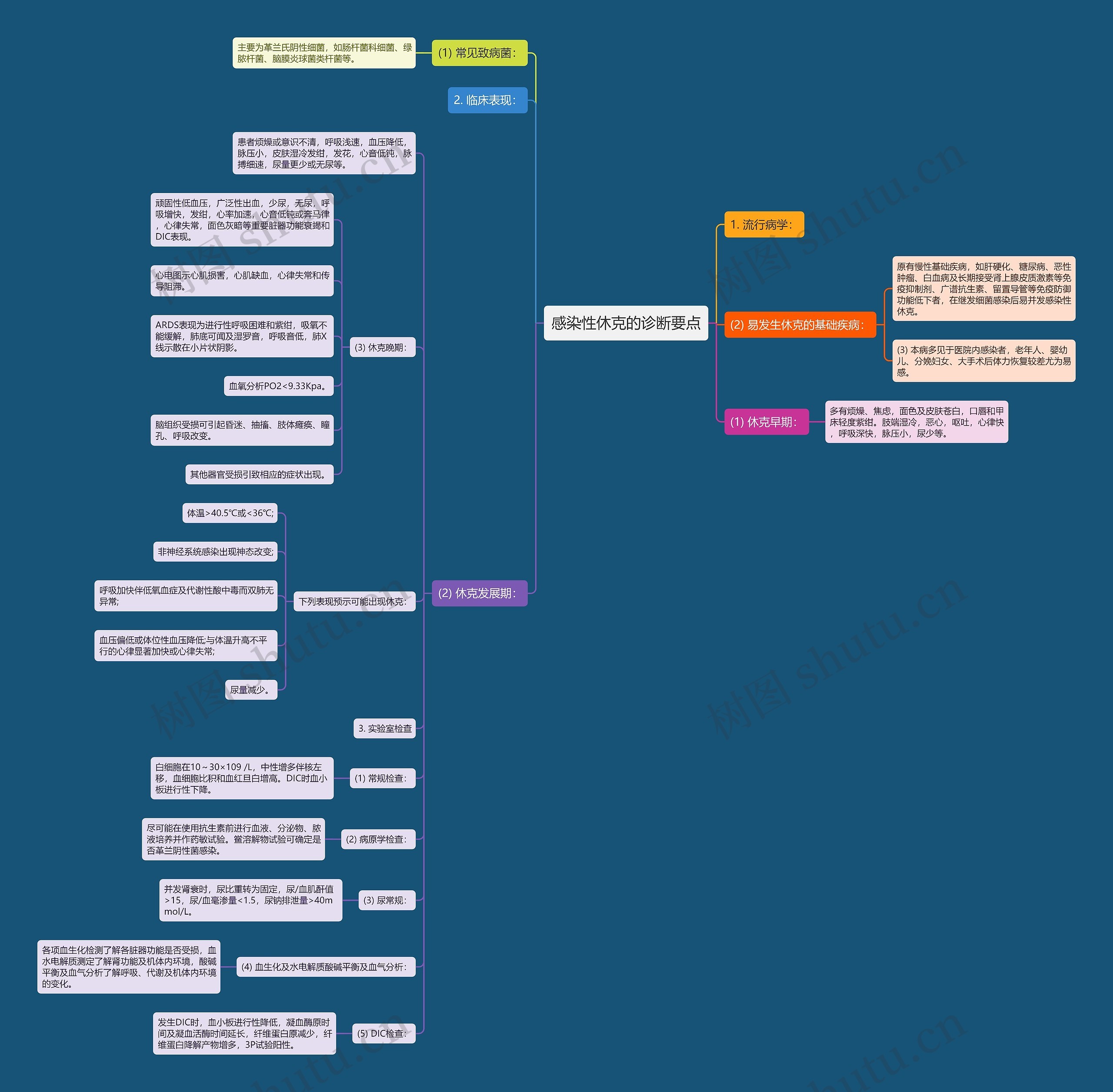 感染性休克的诊断要点思维导图
