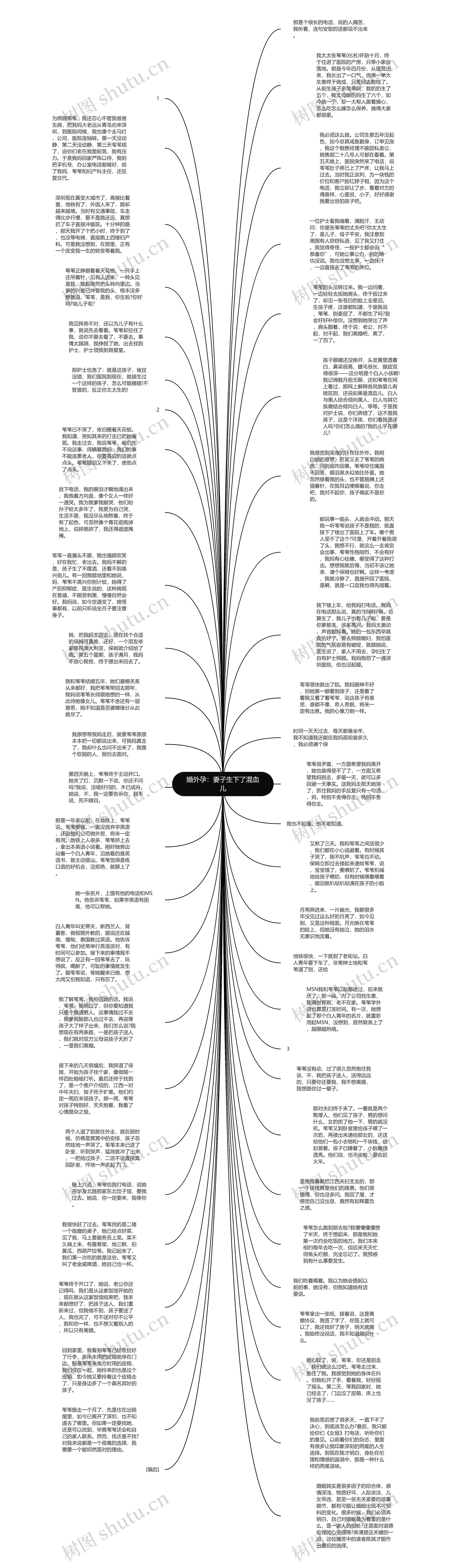 婚外孕：妻子生下了混血儿思维导图
