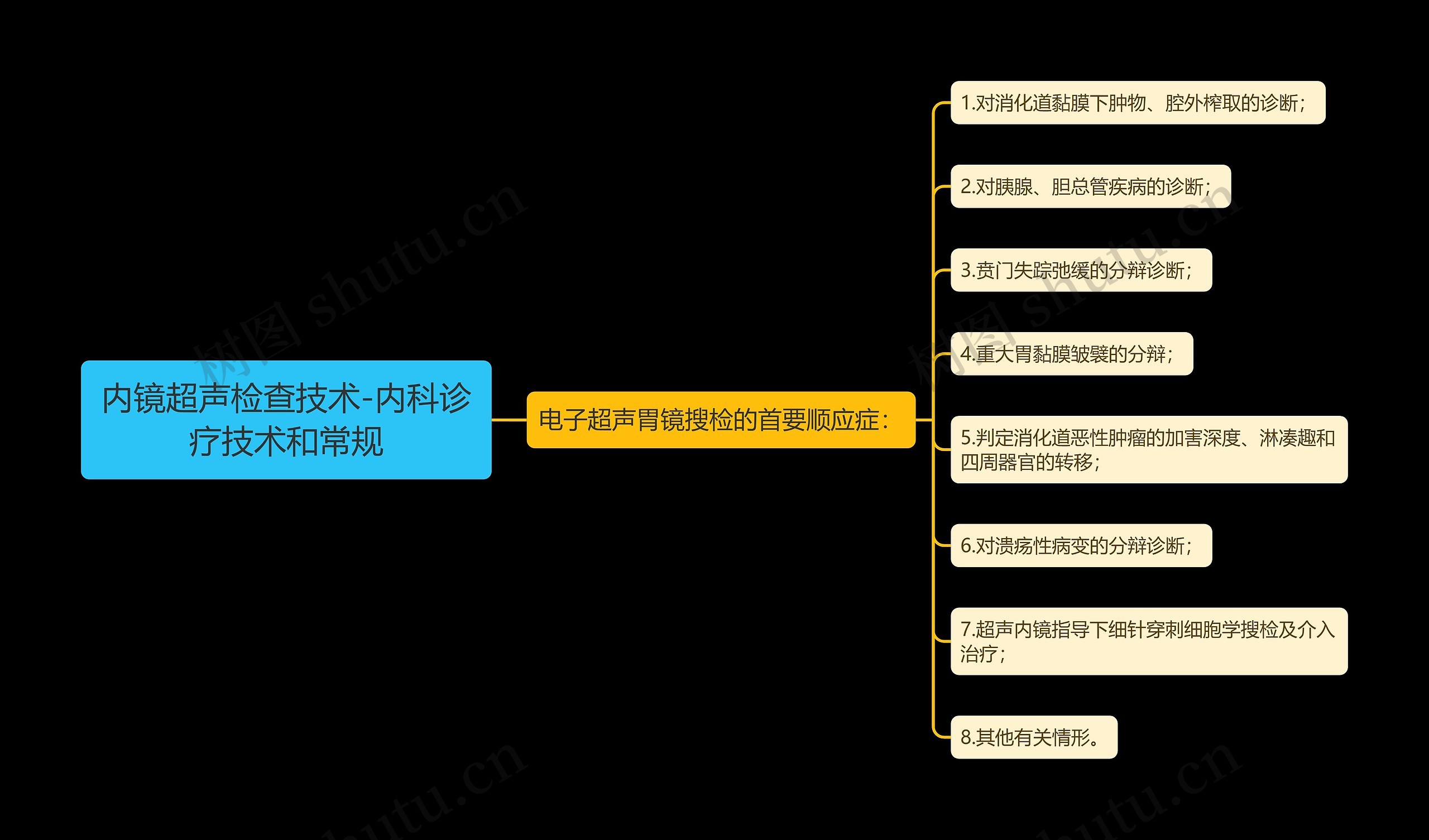 内镜超声检查技术-内科诊疗技术和常规