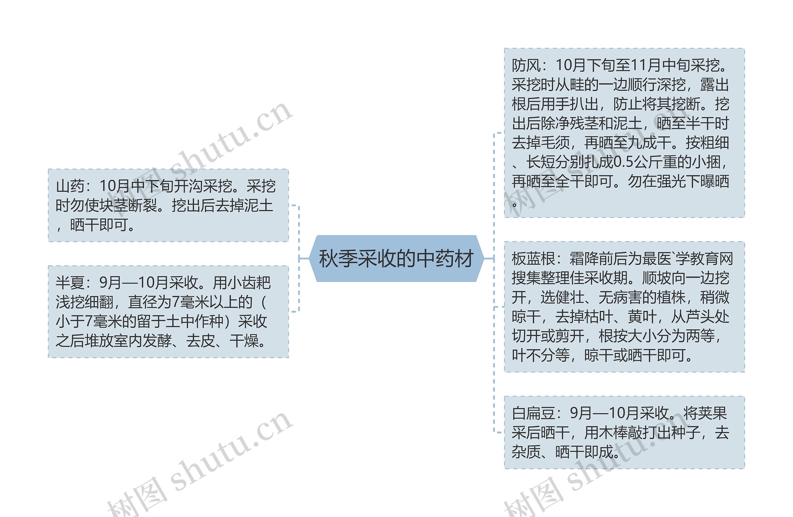 秋季采收的中药材