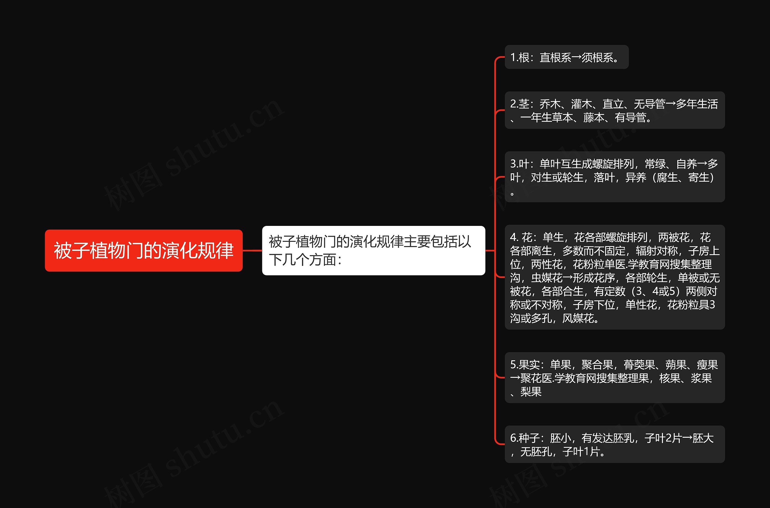 被子植物门的演化规律思维导图