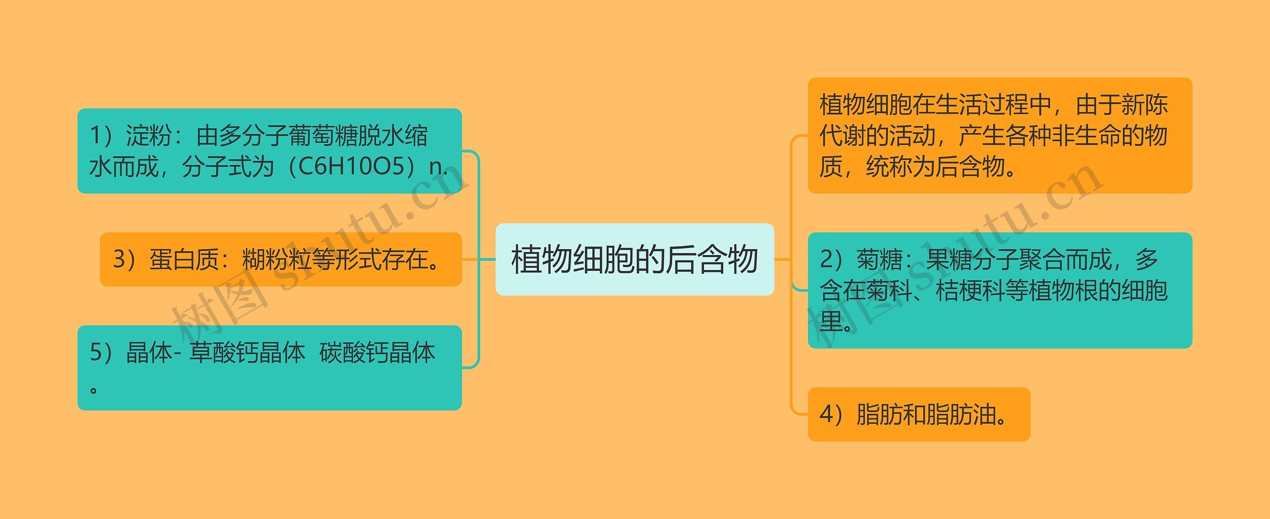植物细胞的后含物 植物细胞的后含物