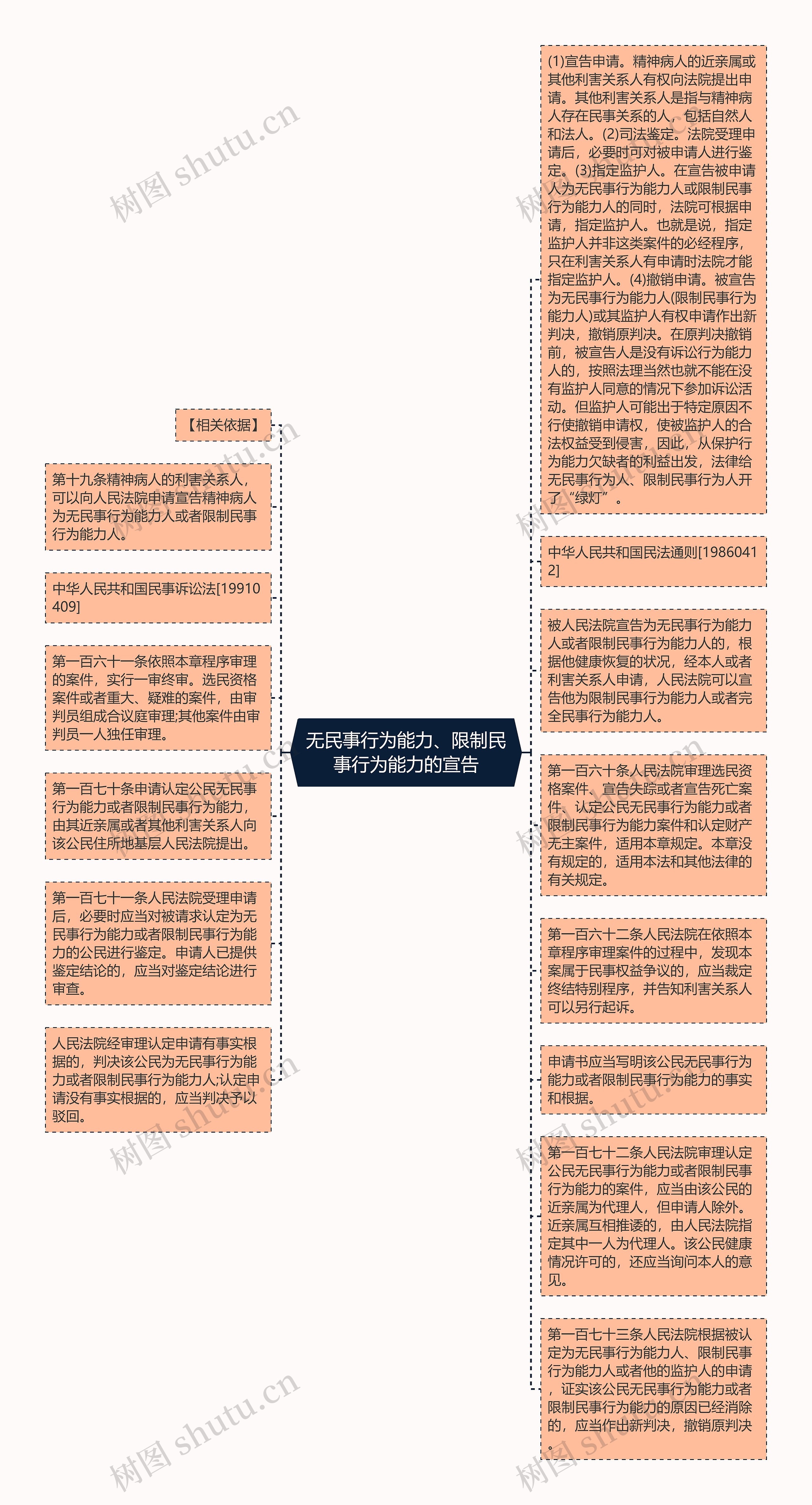 无民事行为能力、限制民事行为能力的宣告思维导图