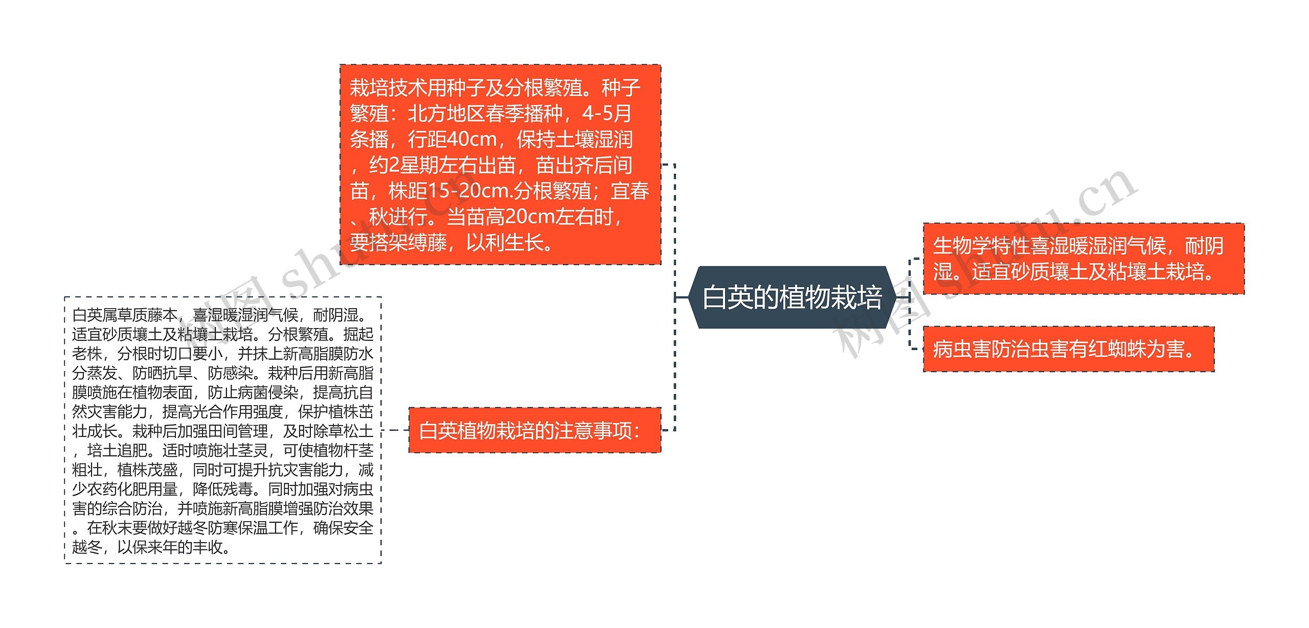 白英的植物栽培思维导图