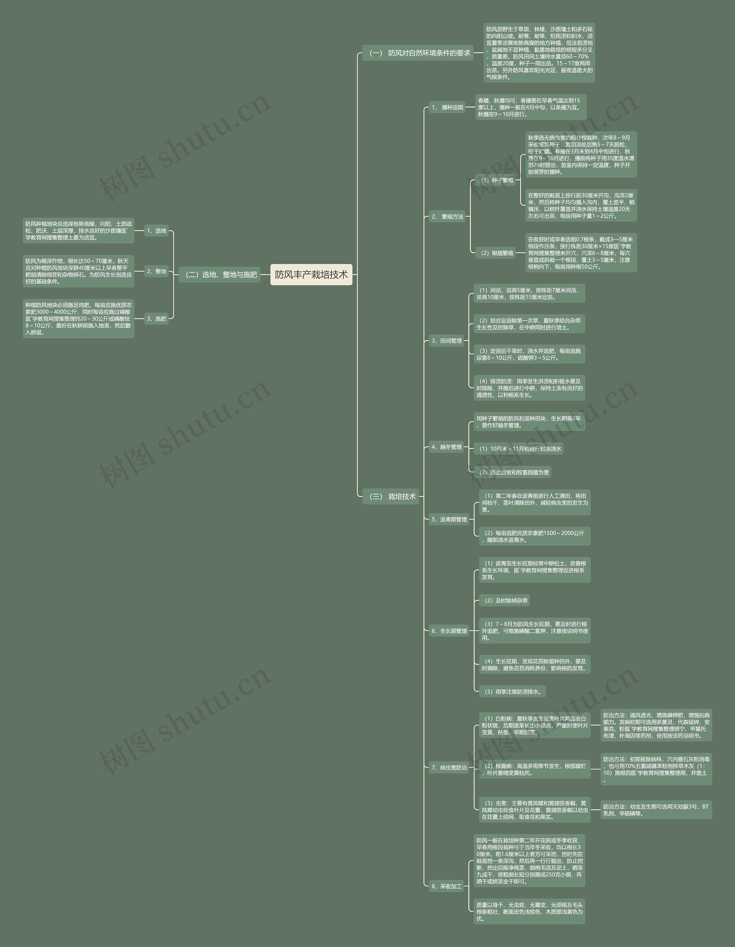 防风丰产栽培技术思维导图