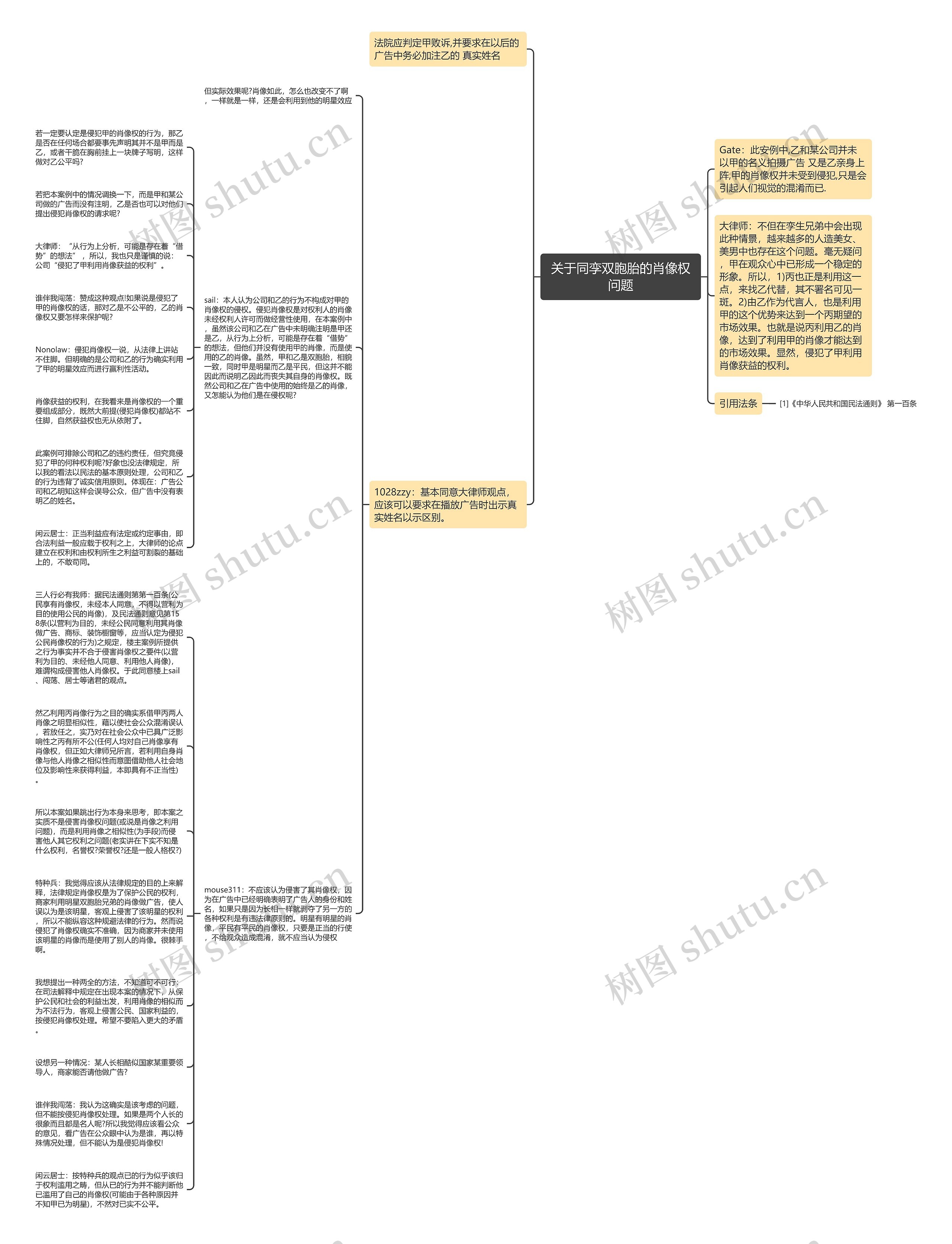 关于同孪双胞胎的肖像权问题思维导图