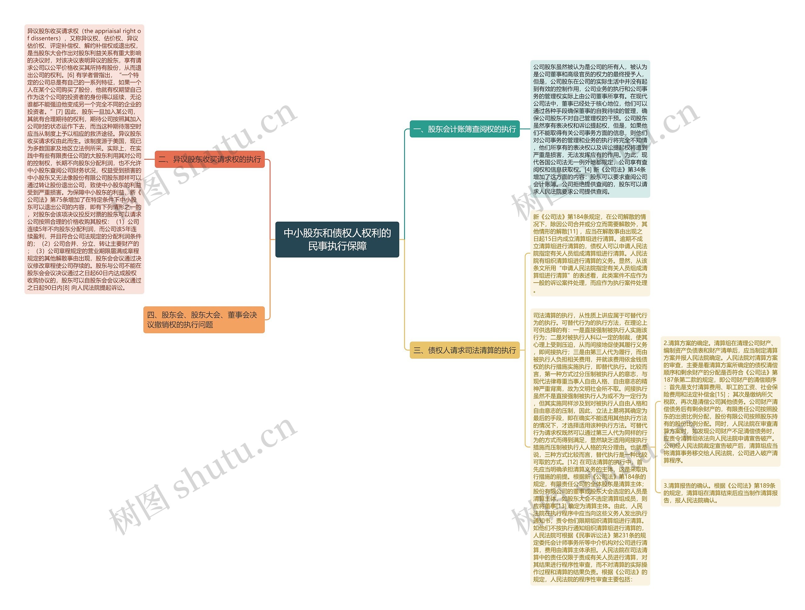 中小股东和债权人权利的民事执行保障思维导图