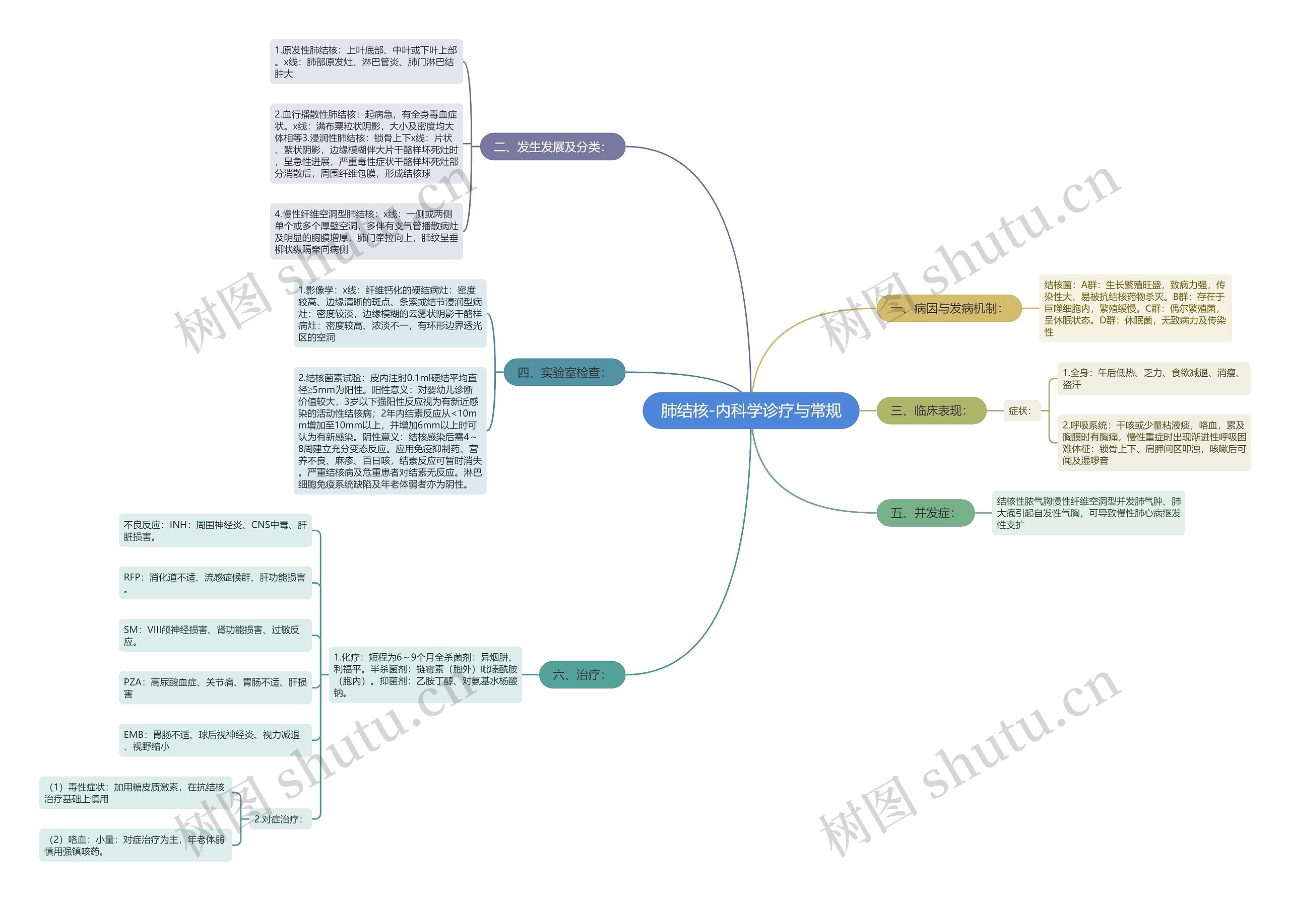 肺结核-内科学诊疗与常规 肺结核-内科学诊疗与常规