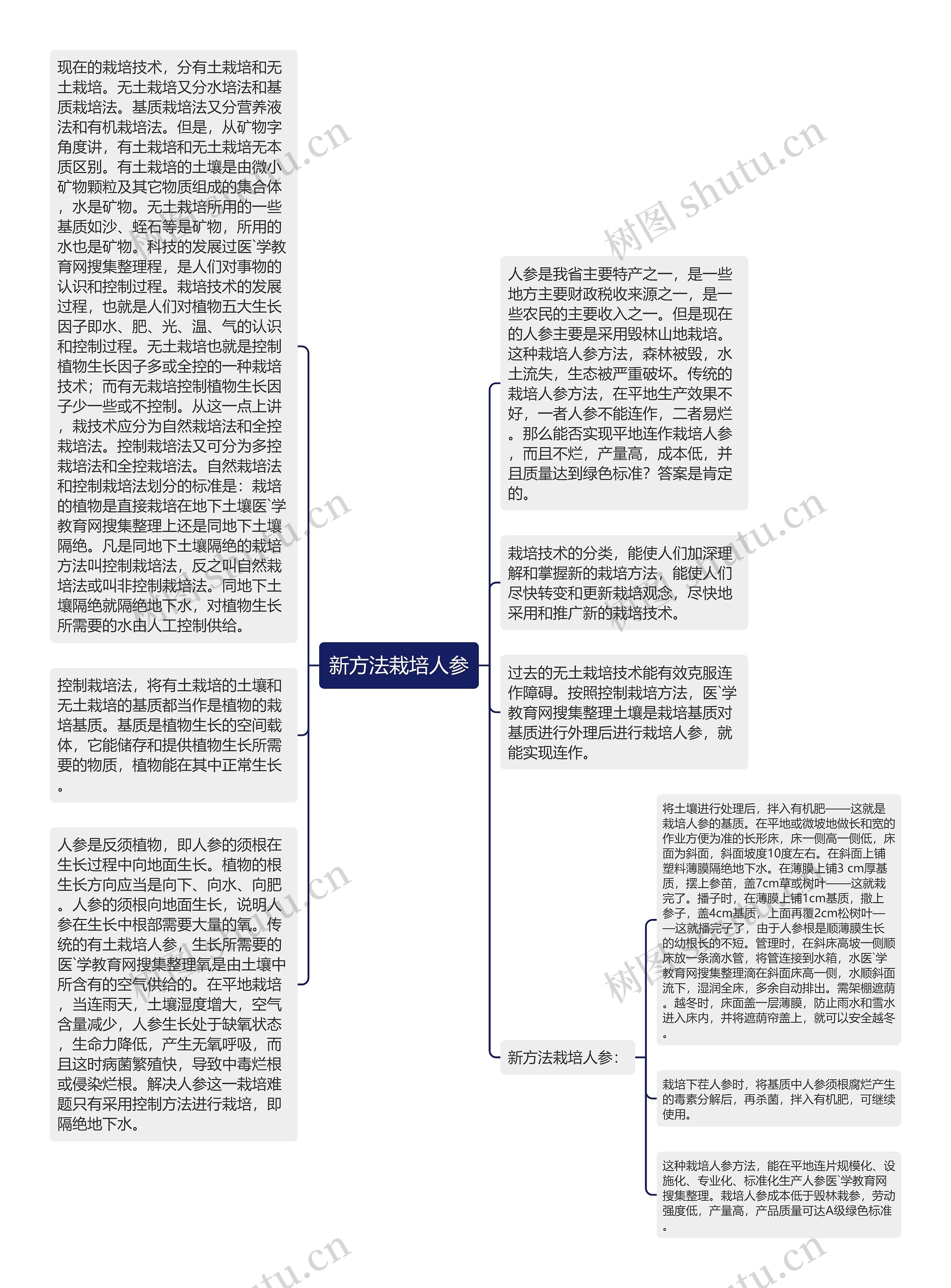 新方法栽培人参