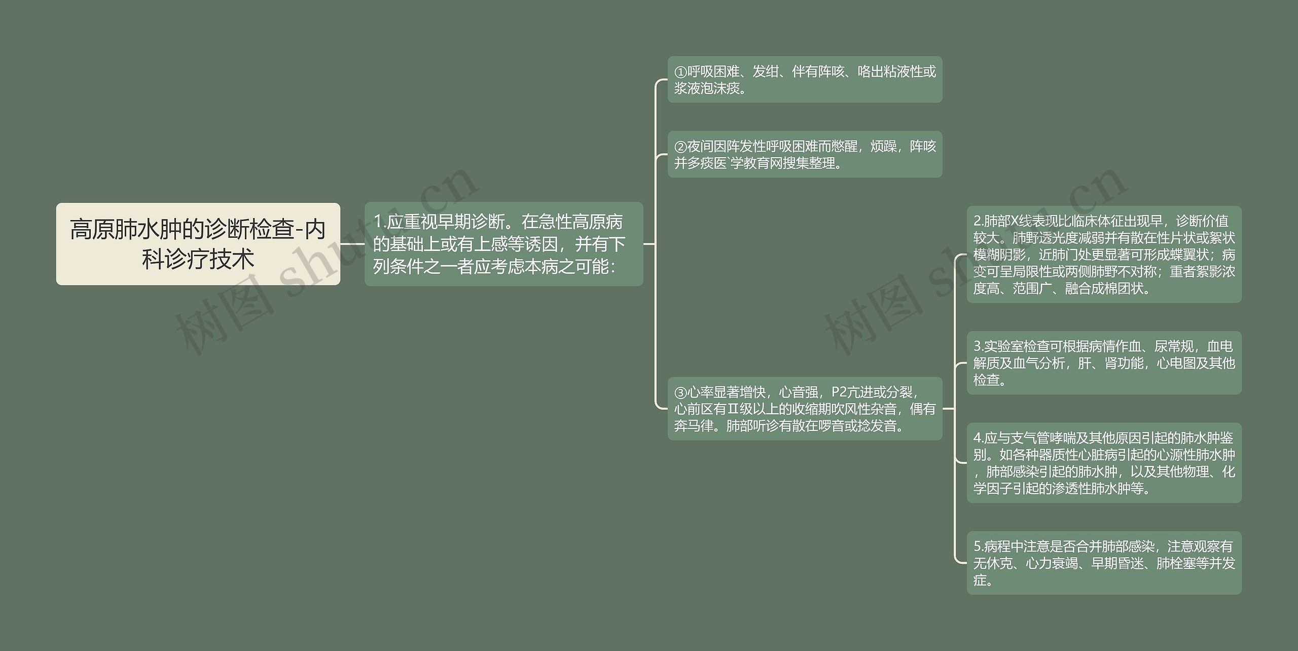 高原肺水肿的诊断检查-内科诊疗技术思维导图