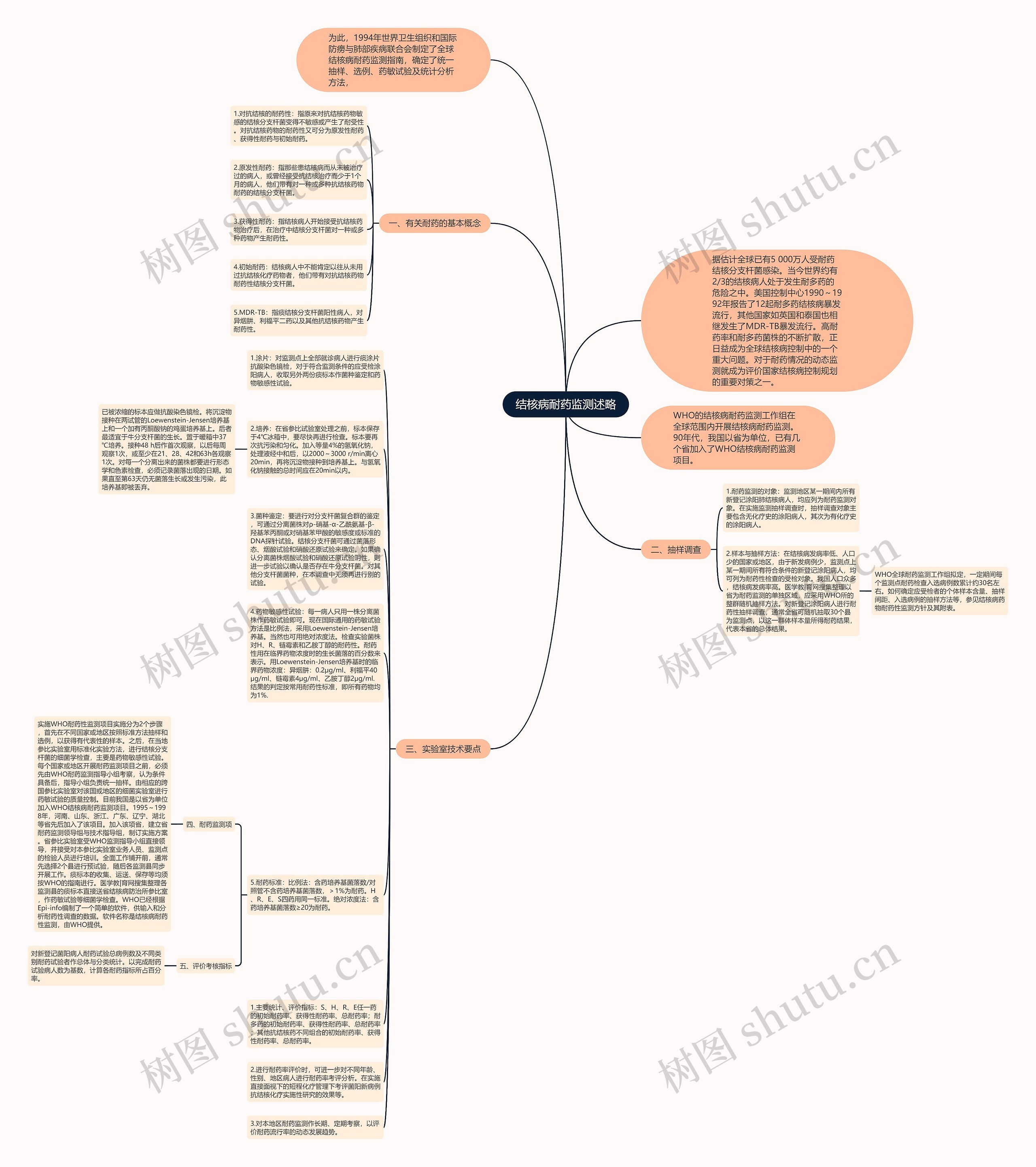 结核病耐药监测述略思维导图