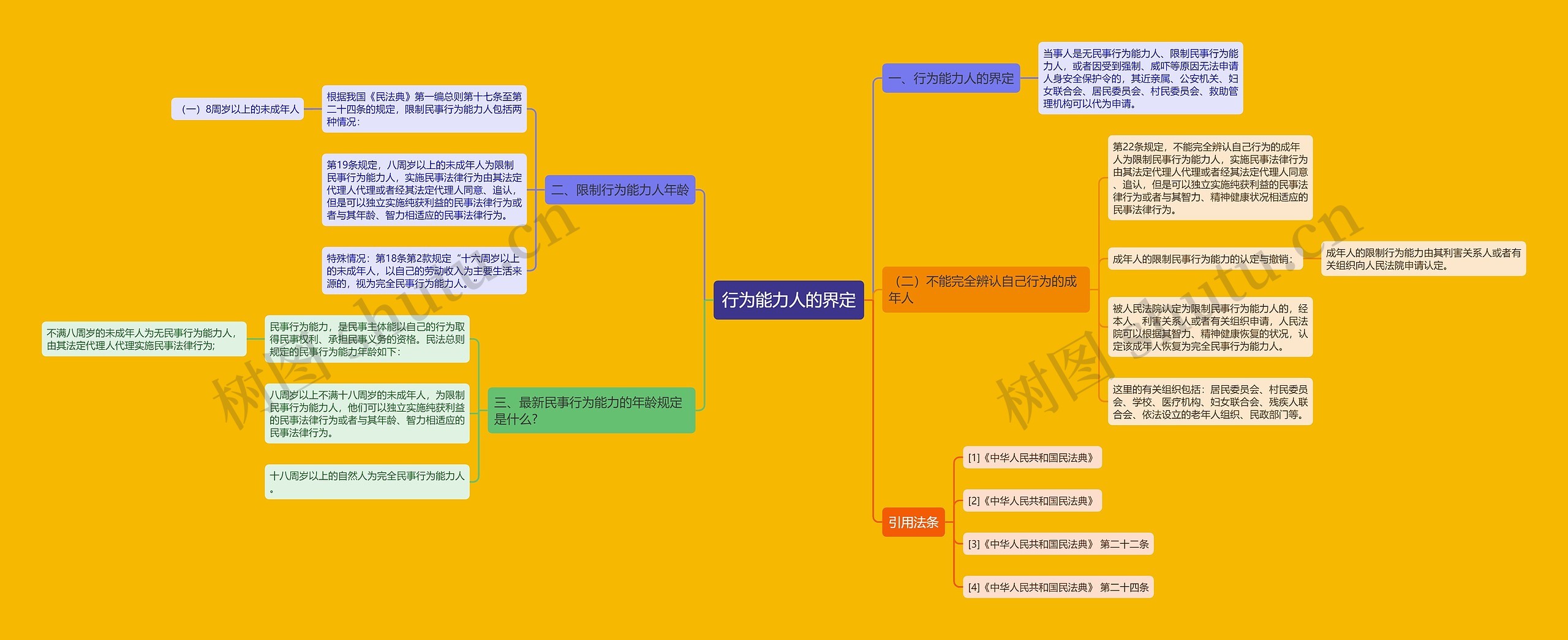 行为能力人的界定思维导图