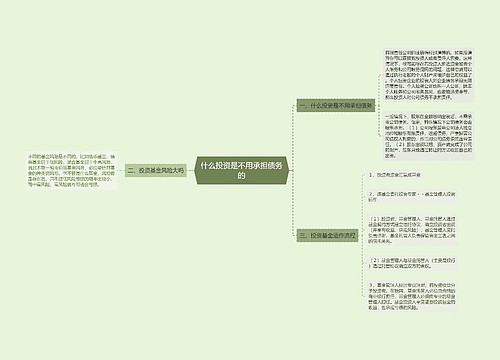 什么投资是不用承担债务的