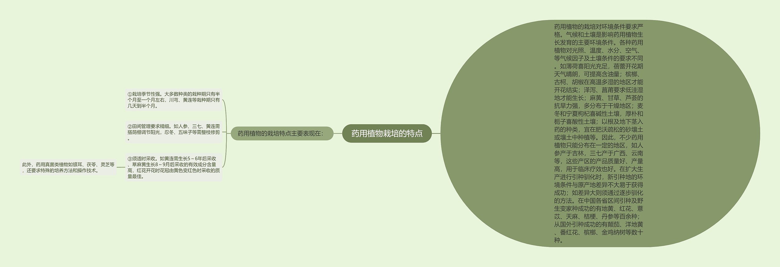 药用植物栽培的特点