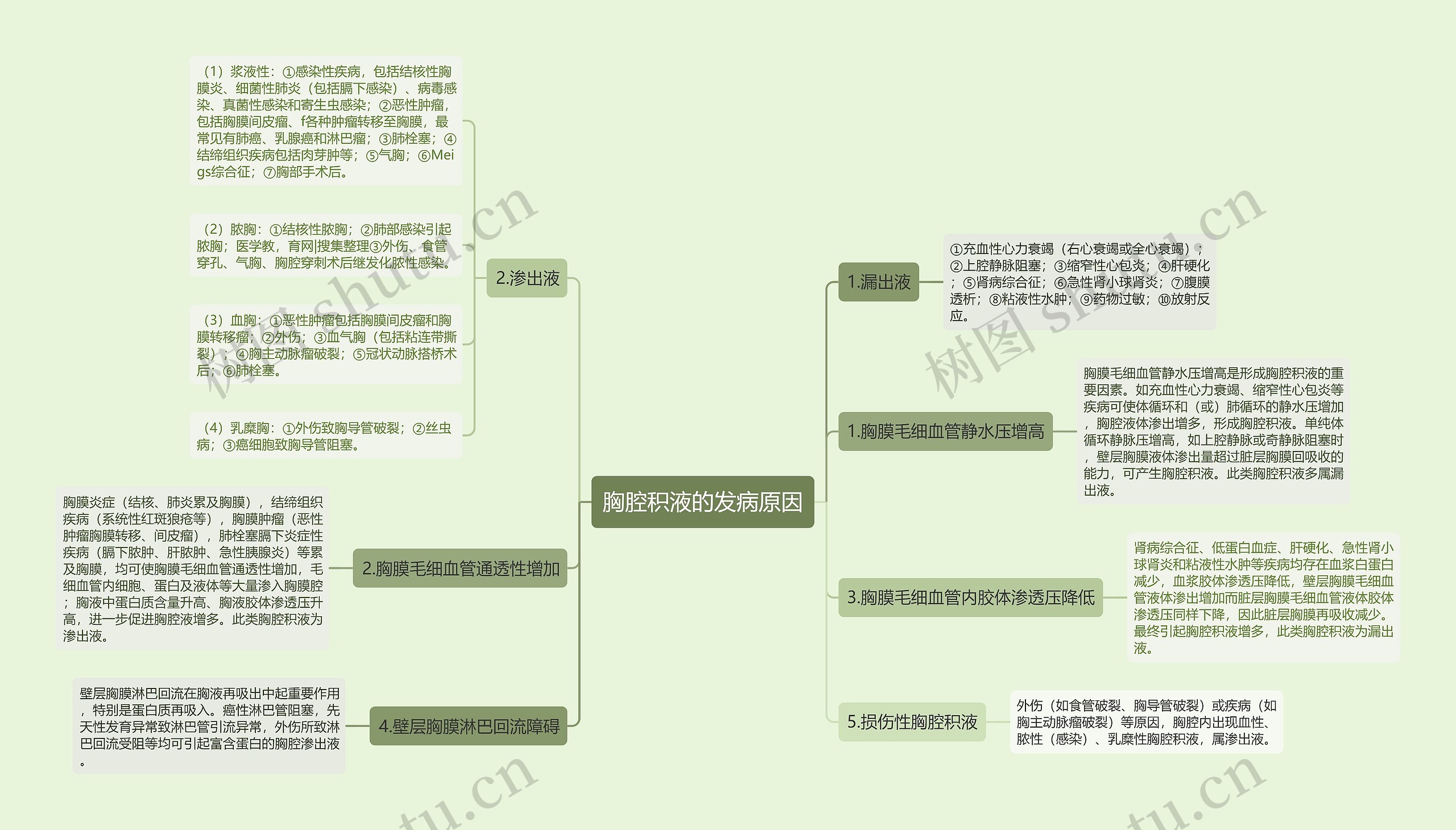 胸腔积液的发病原因思维导图