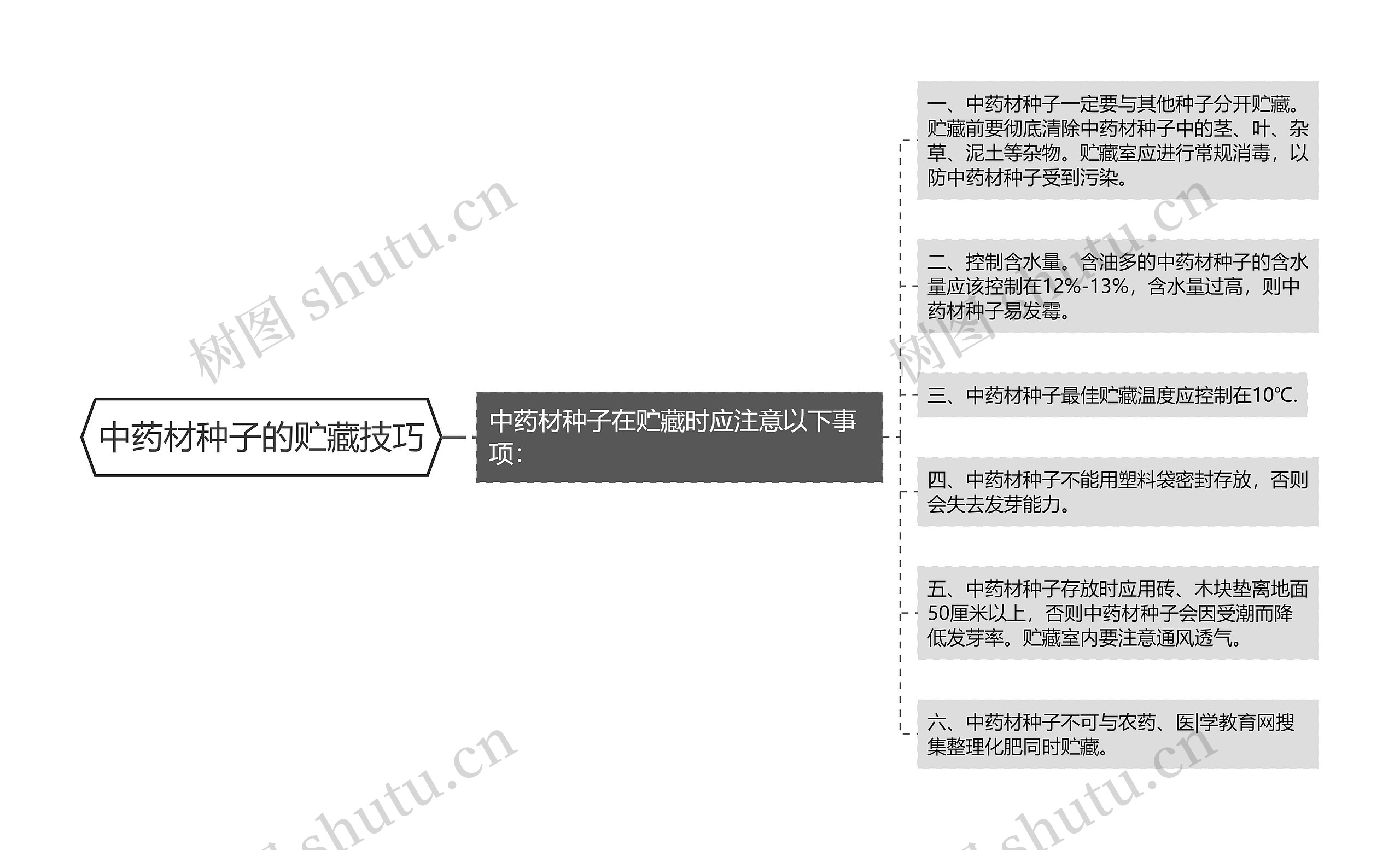 中药材种子的贮藏技巧思维导图