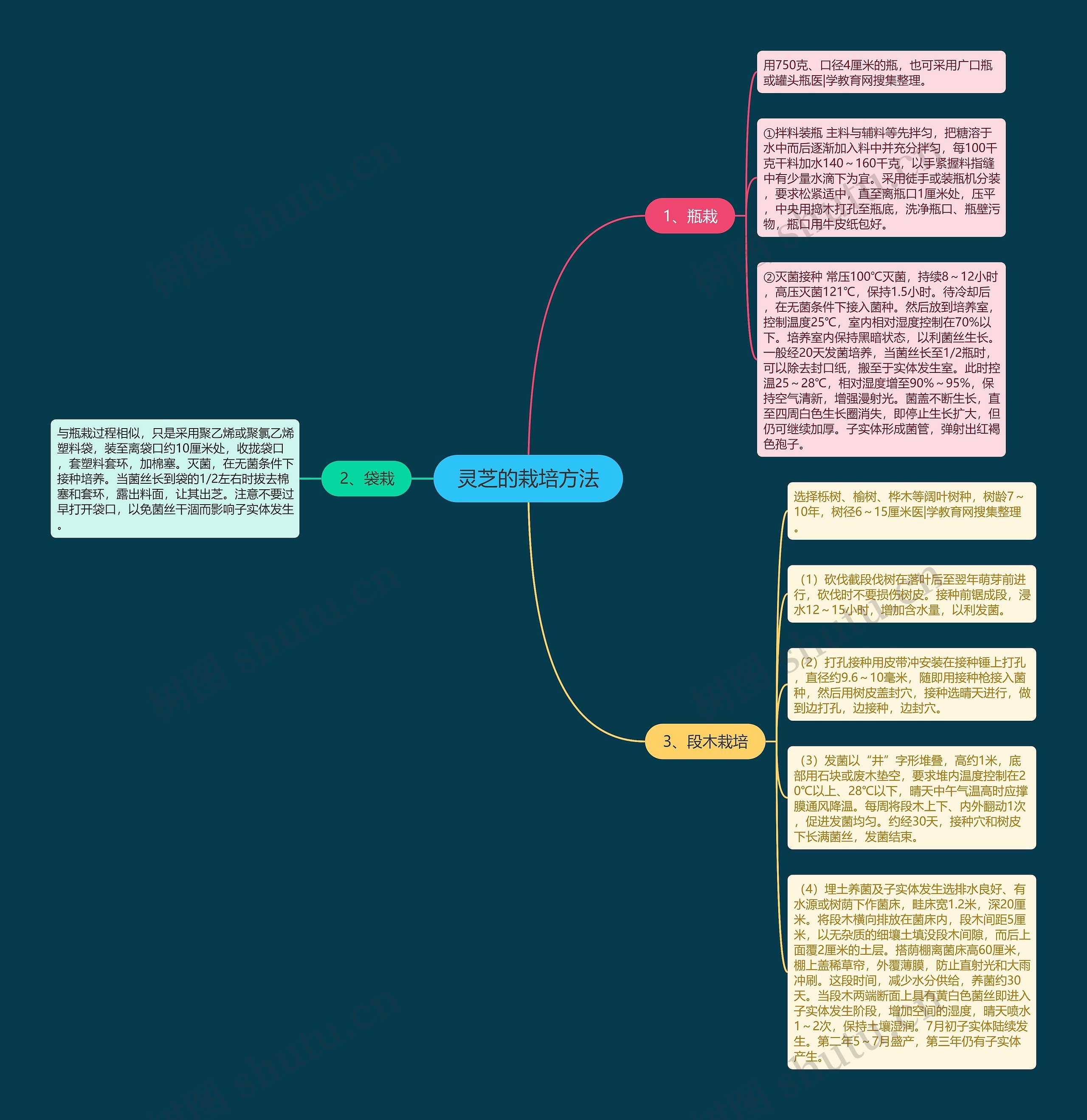 灵芝的栽培方法思维导图