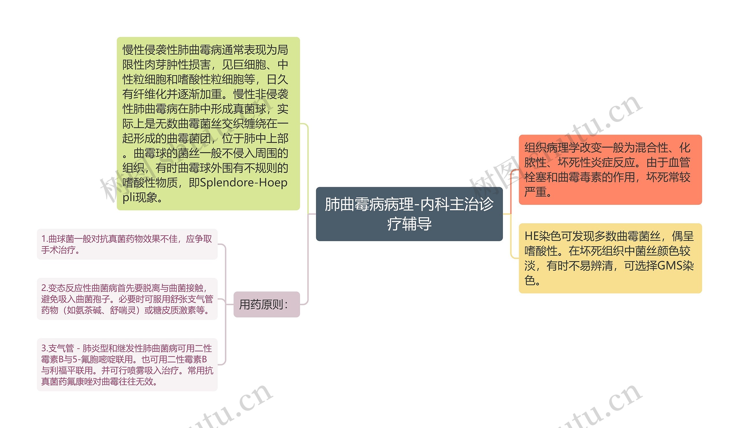 肺曲霉病病理-内科主治诊疗辅导思维导图