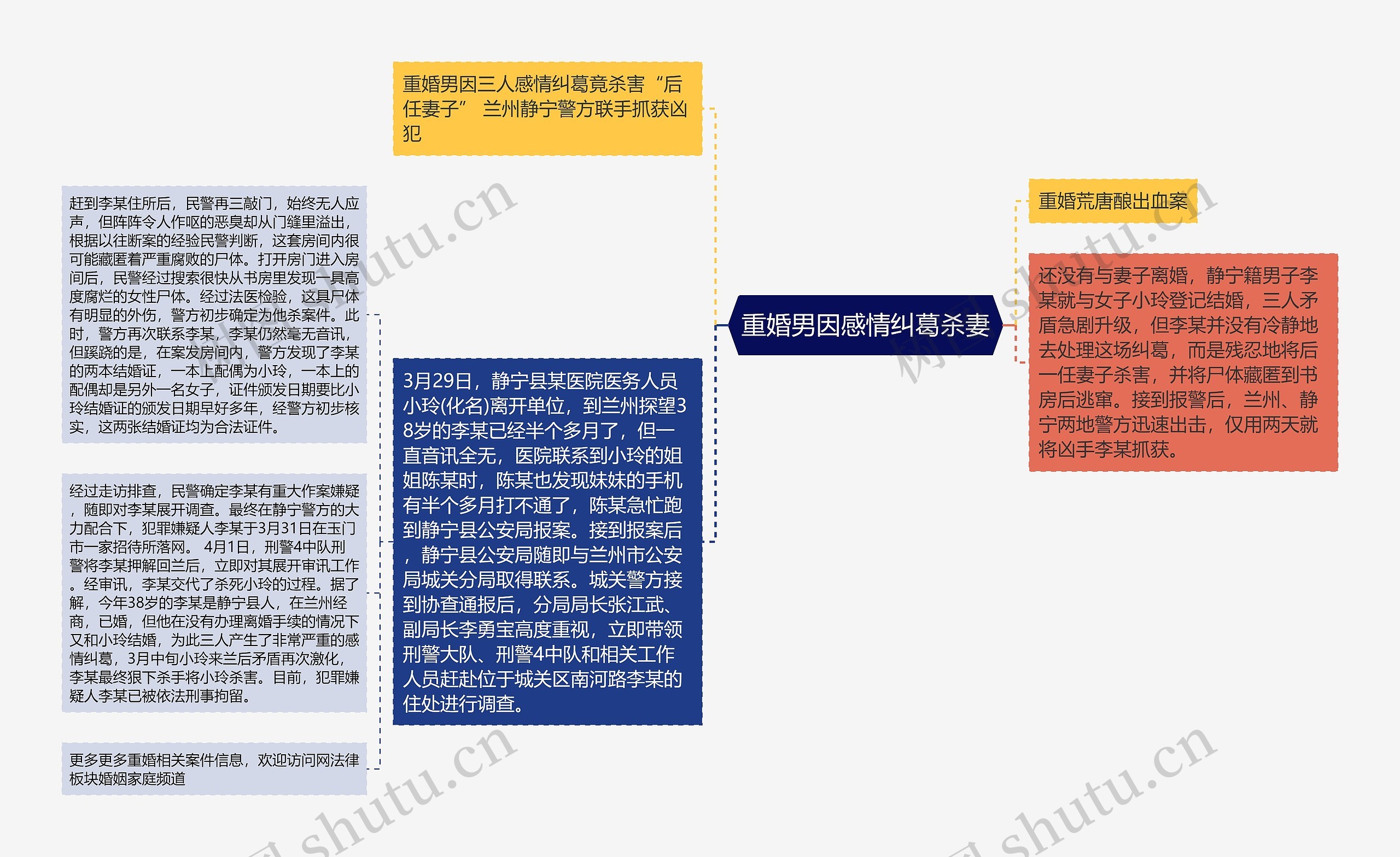 重婚男因感情纠葛杀妻思维导图