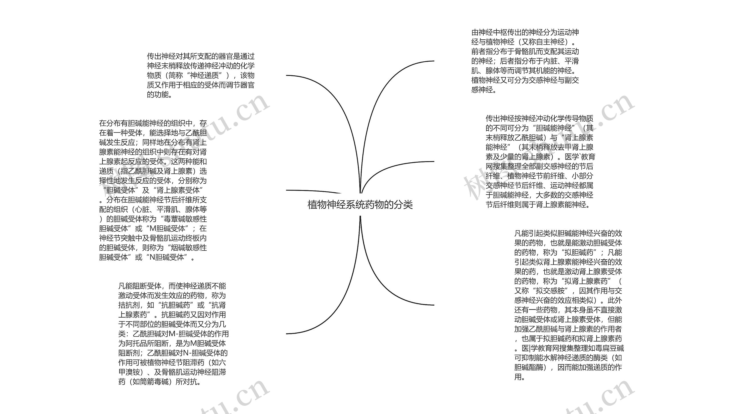 植物神经系统药物的分类思维导图