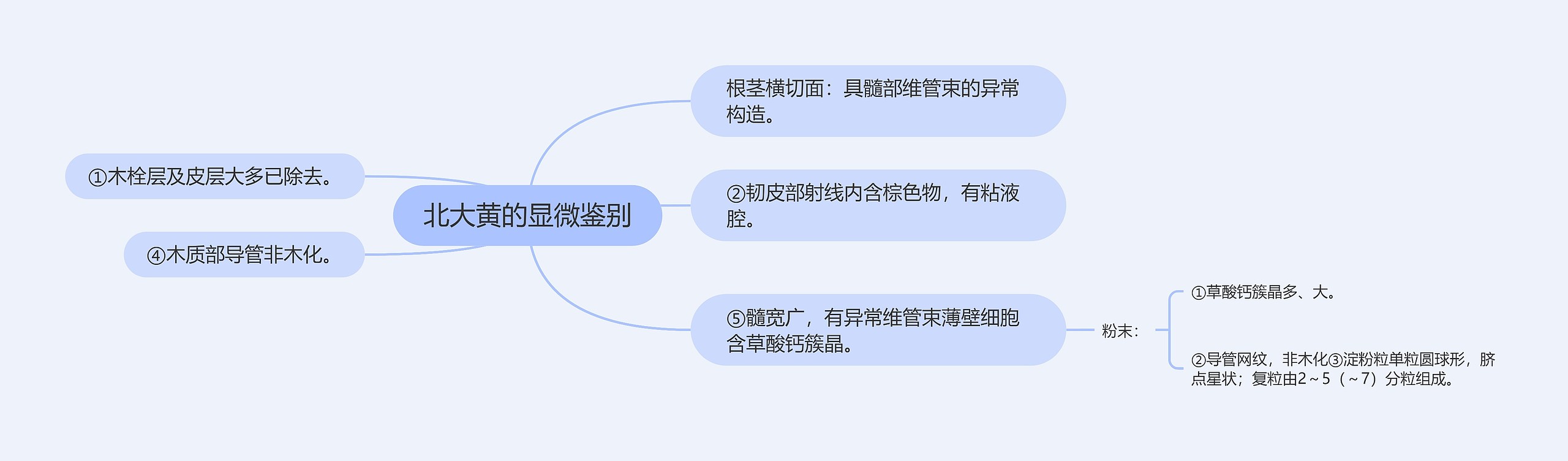 北大黄的显微鉴别思维导图