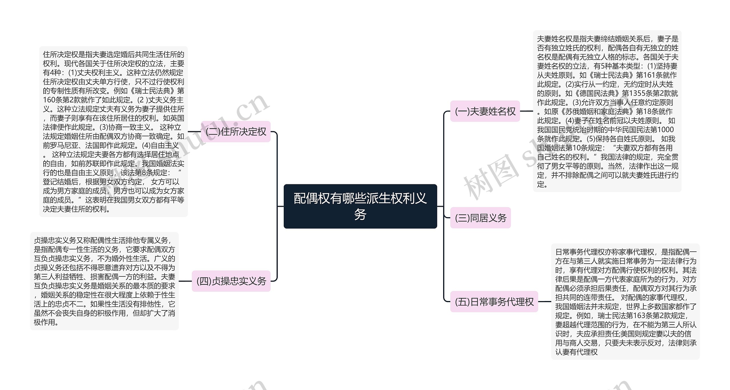 配偶权有哪些派生权利义务思维导图