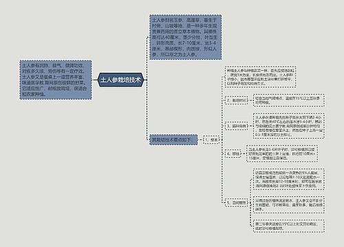 土人参栽培技术