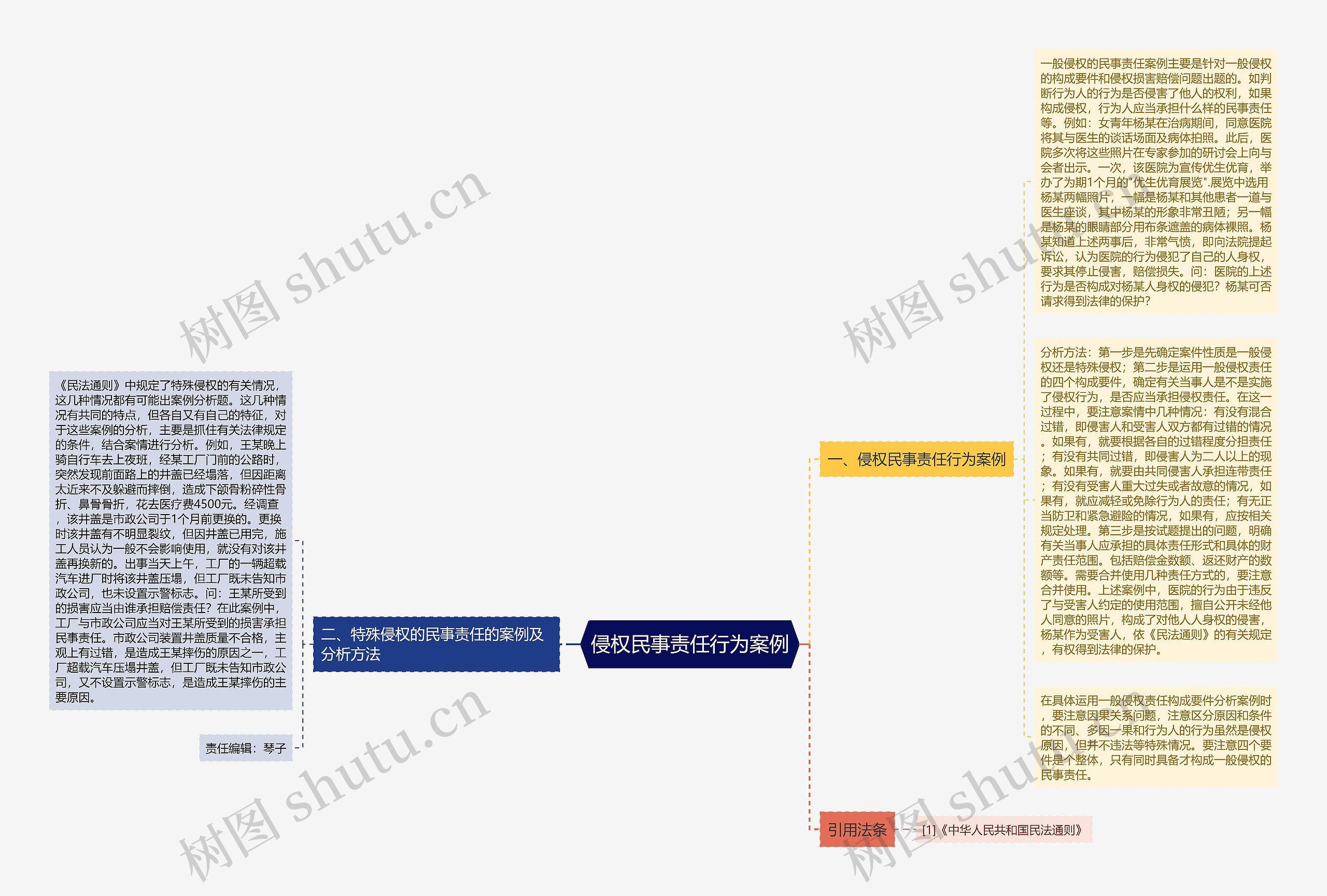 侵权民事责任行为案例思维导图