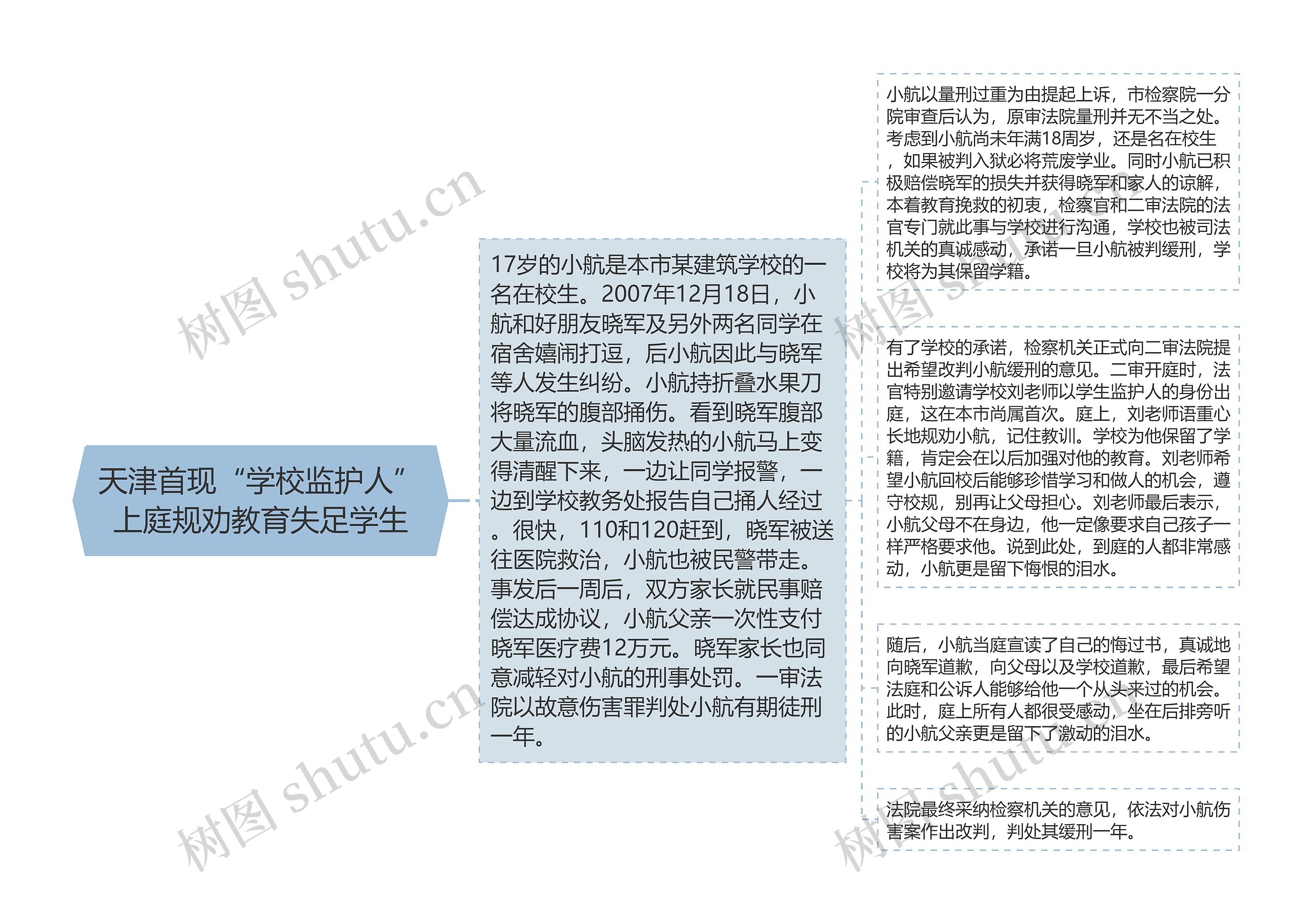 天津首现“学校监护人”上庭规劝教育失足学生思维导图