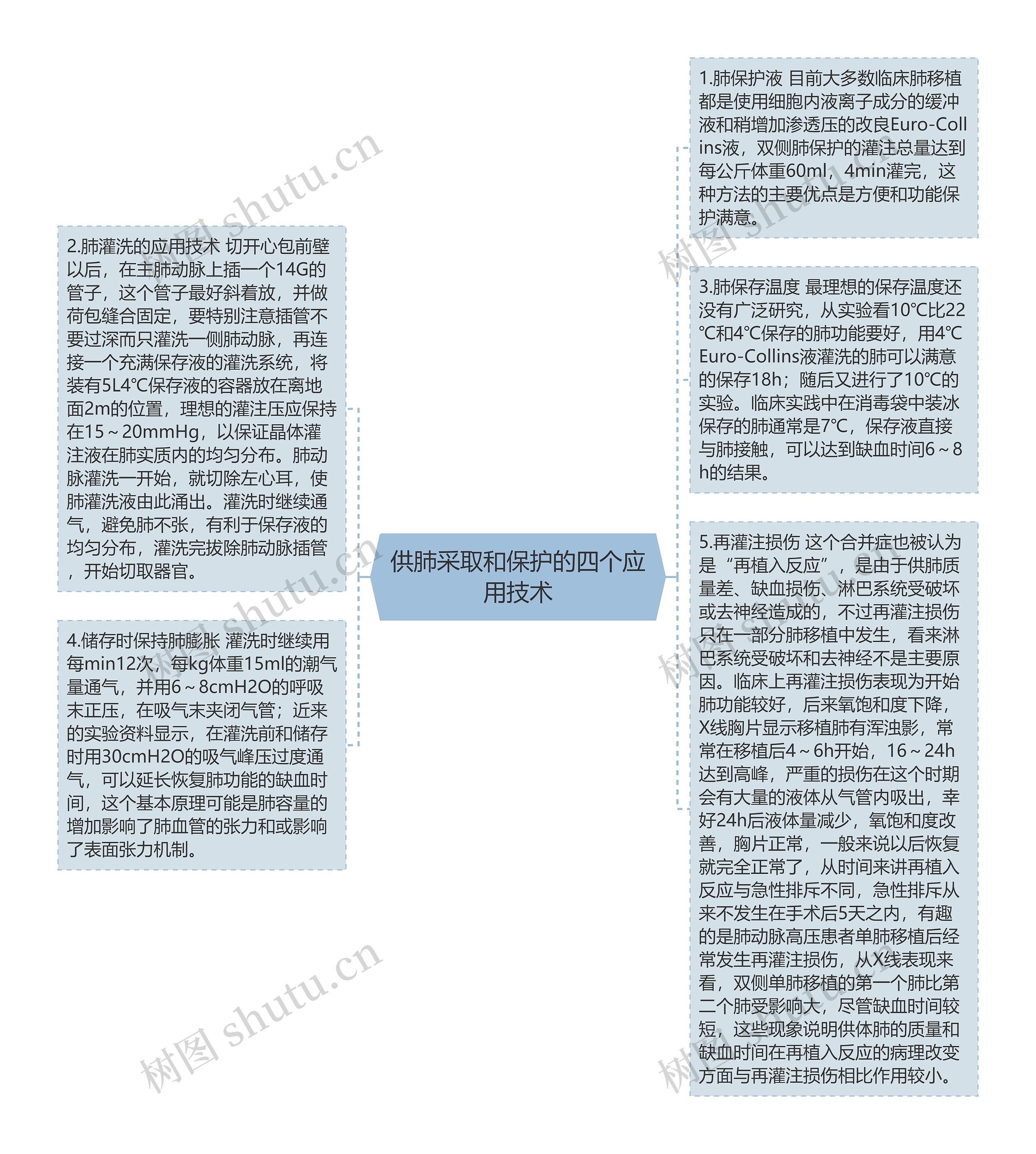 供肺采取和保护的四个应用技术思维导图