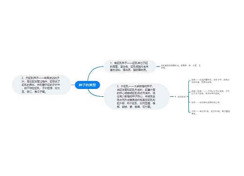 种子的类型