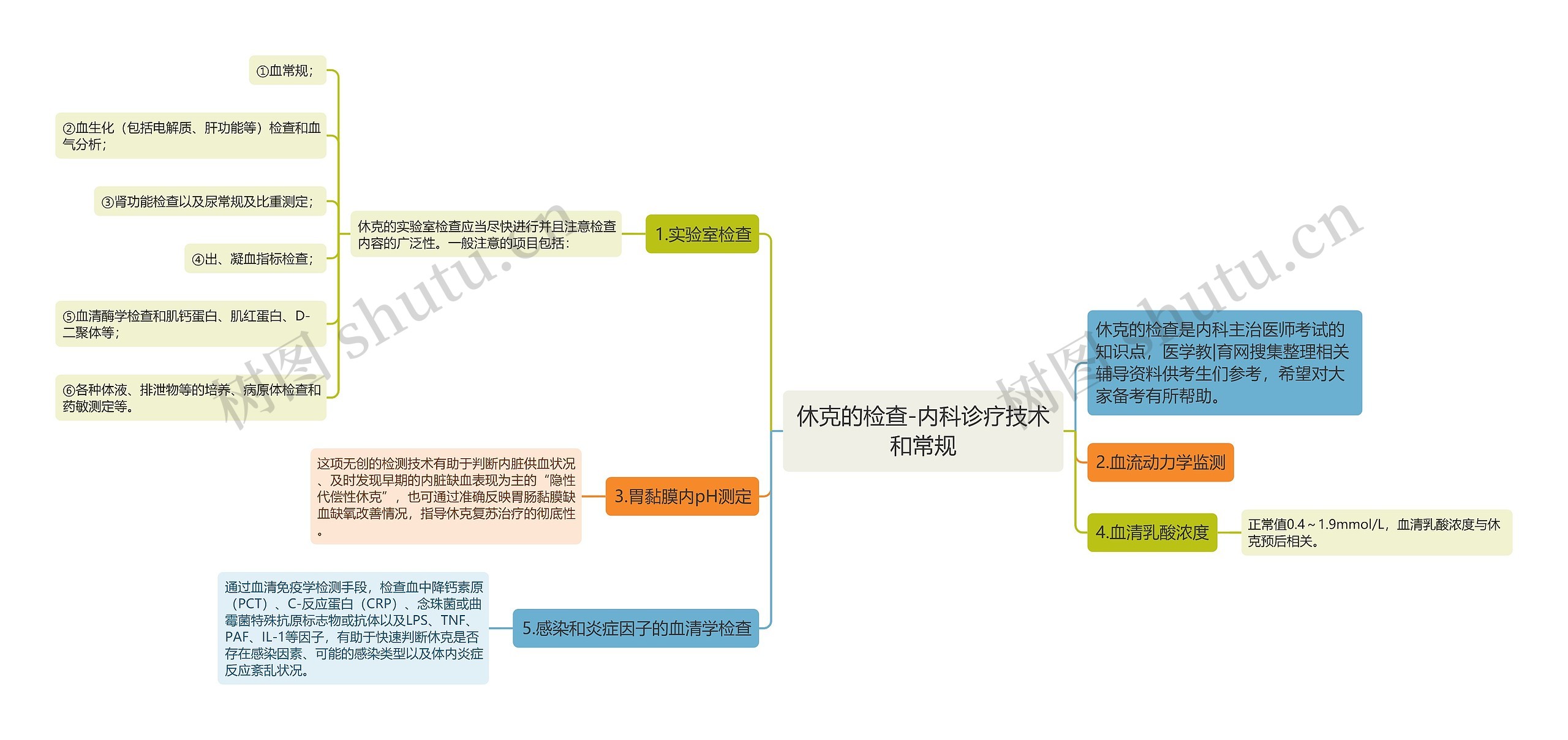 休克的检查-内科诊疗技术和常规思维导图