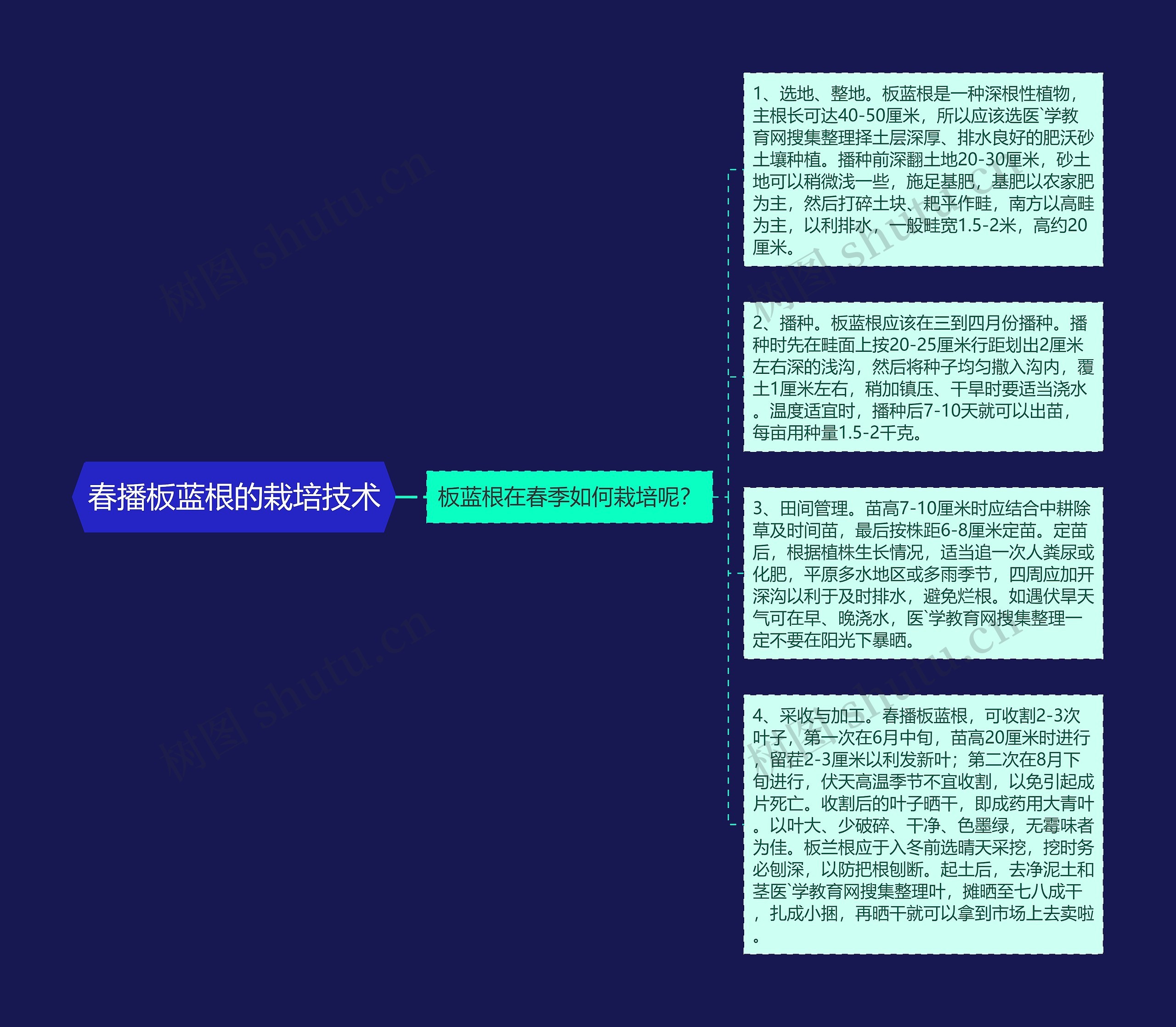 春播板蓝根的栽培技术思维导图